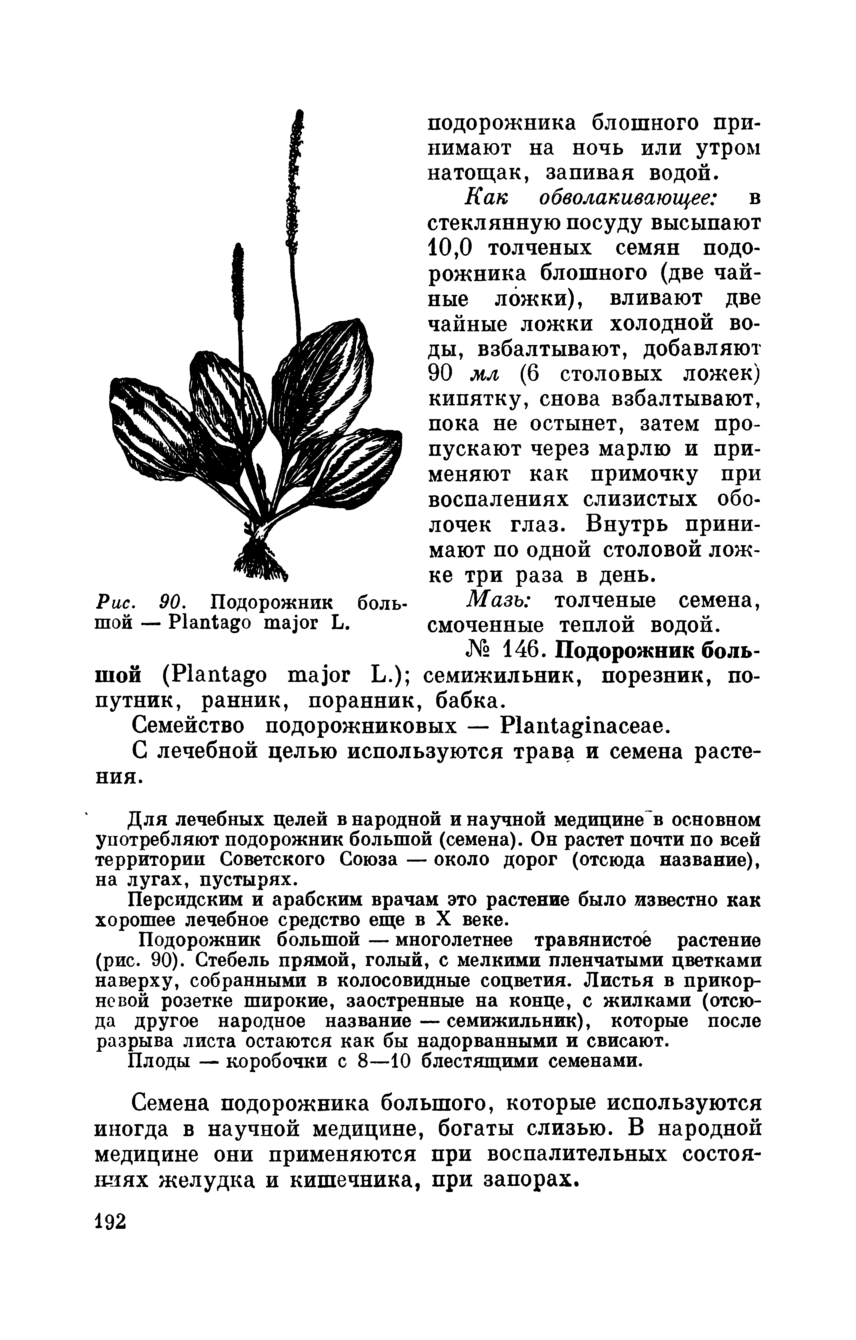 Рис. 90. Подорожник боль- Мазь толченые семена, шой — P L. смоченные теплой водой.