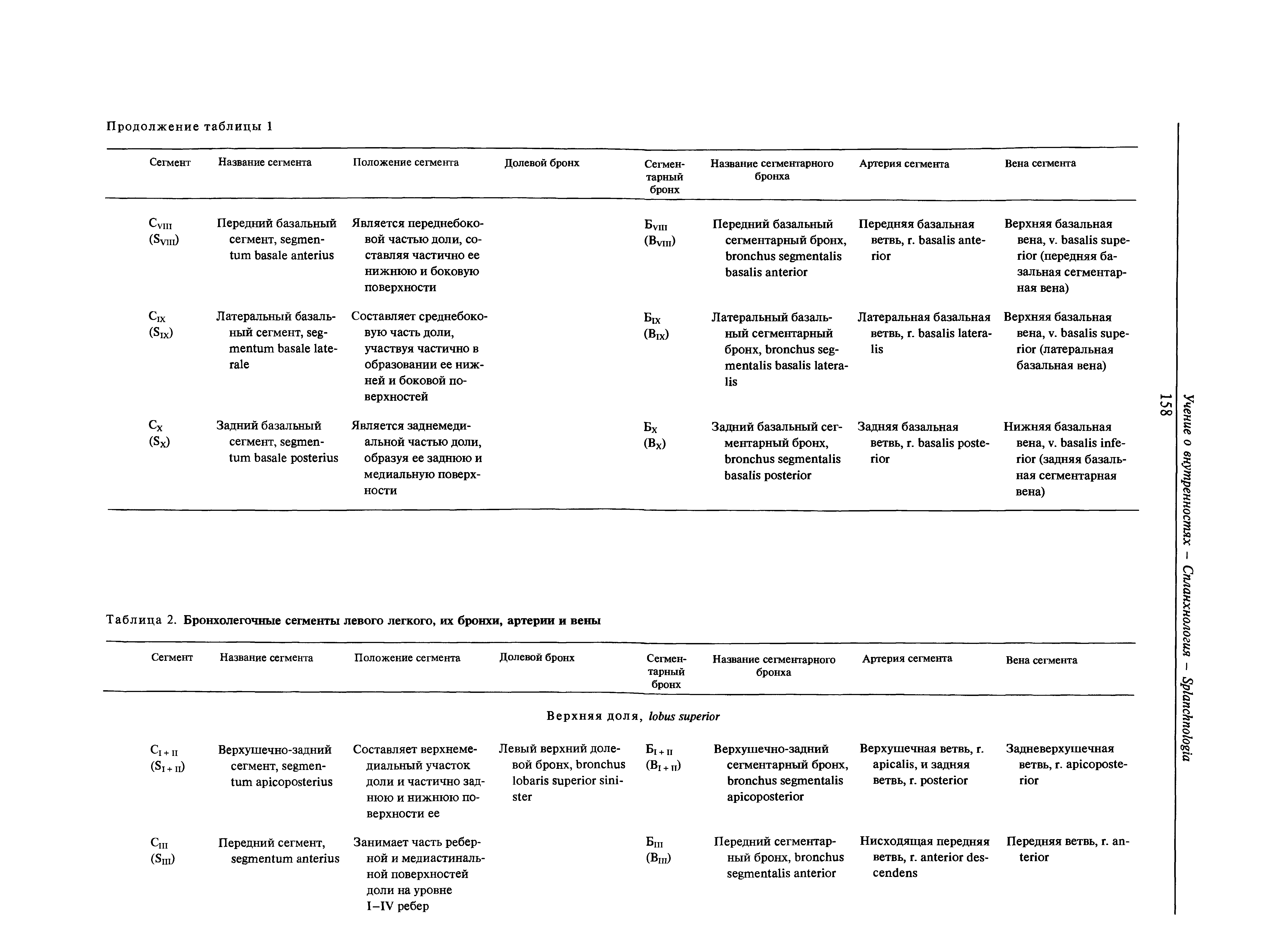 Таблица 2. Бронхолегочные сегменты левого легкого, их бронхи, артерии и вены...