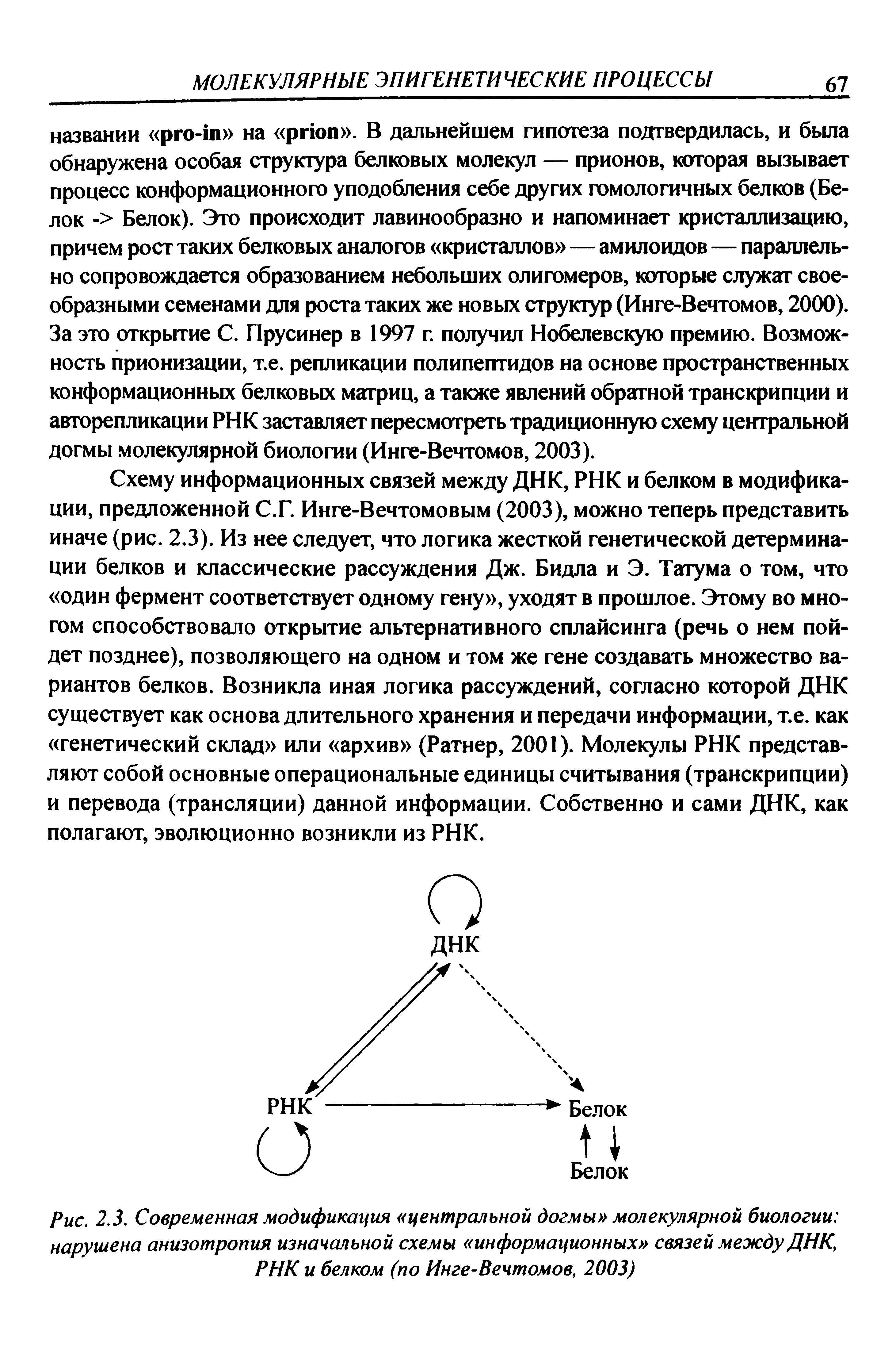 Рис. 2.3. Современная модификация центральной догмы молекулярной биологии нарушена анизотропия изначальной схемы информационных связей между ДНК, РНК и белком (по Инге-Вечтомов, 2003)...