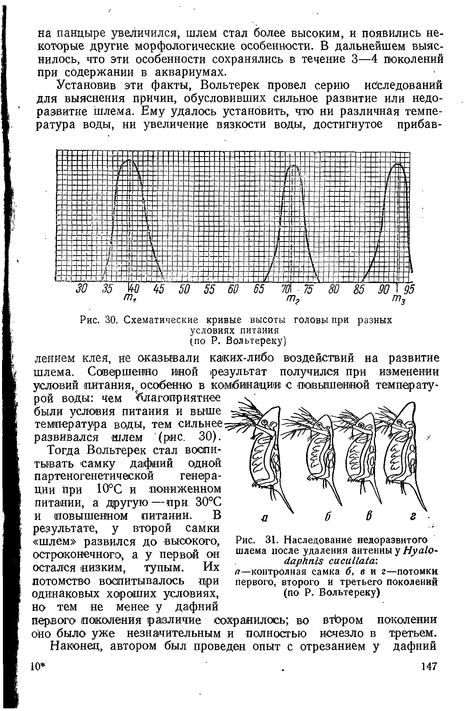 Рис. 30. Схематические кривые высоты головы при разных условиях питания (по Р. Вольтереку)...