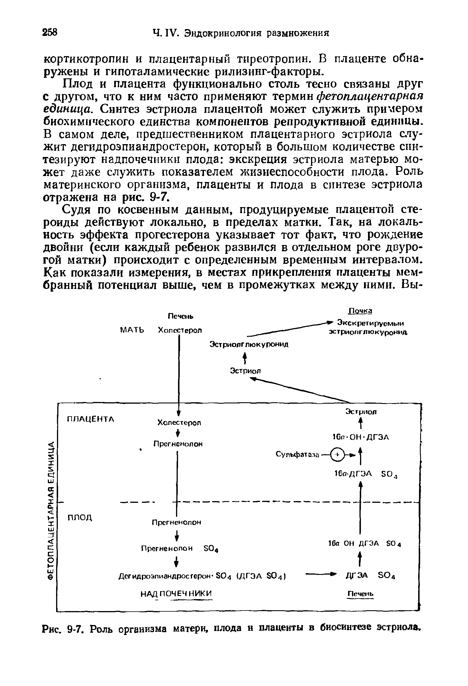 Рис. 9-7. Роль организма матери, плода н плаценты в биосинтезе эстриола.