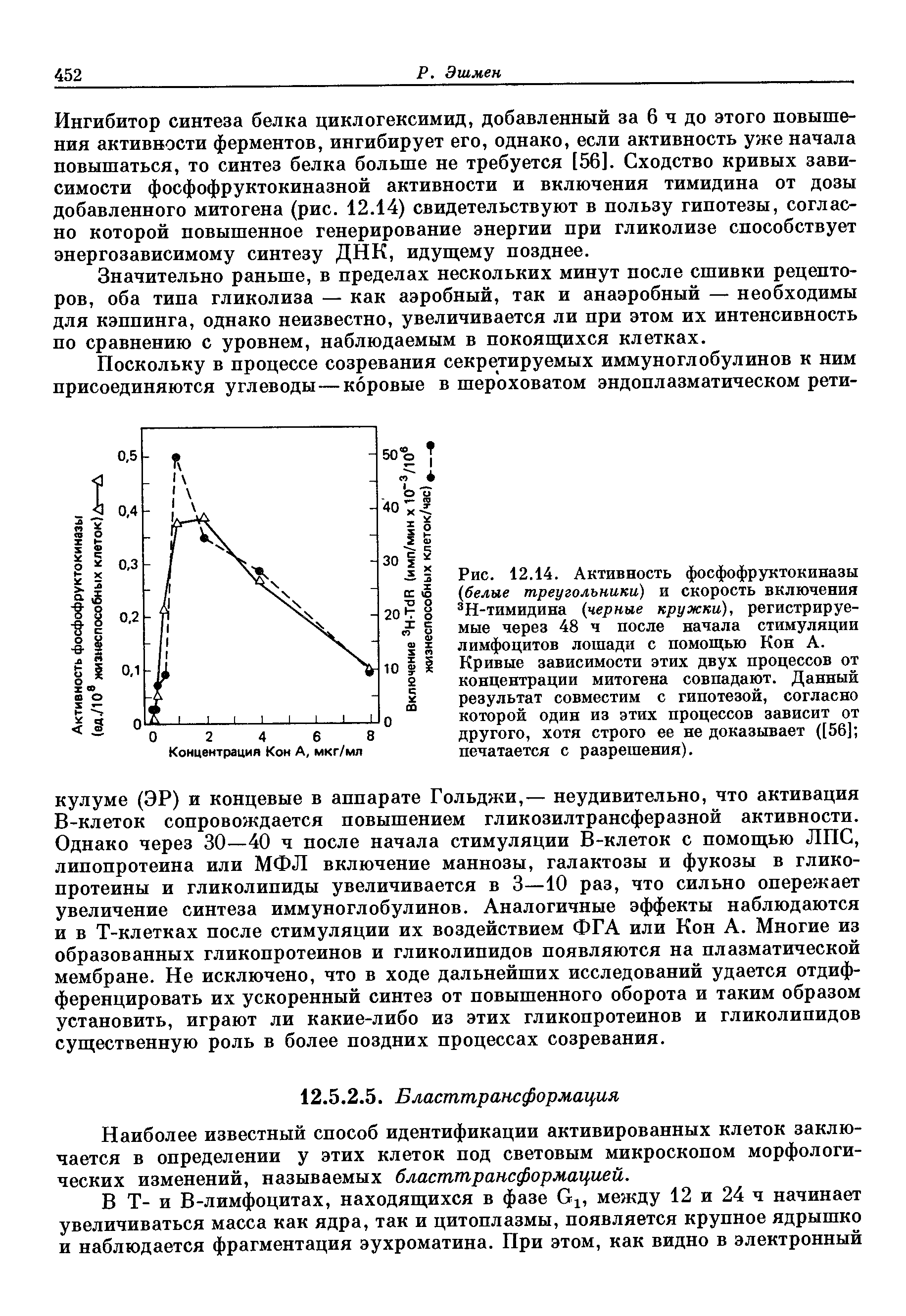 Рис. 12.14. Активность фосфофруктокиназы (белые треугольники) и скорость включения 3Н-тимидина (черные кружки), регистрируемые через 48 ч после начала стимуляции лимфоцитов лошади с помощью Кон А.