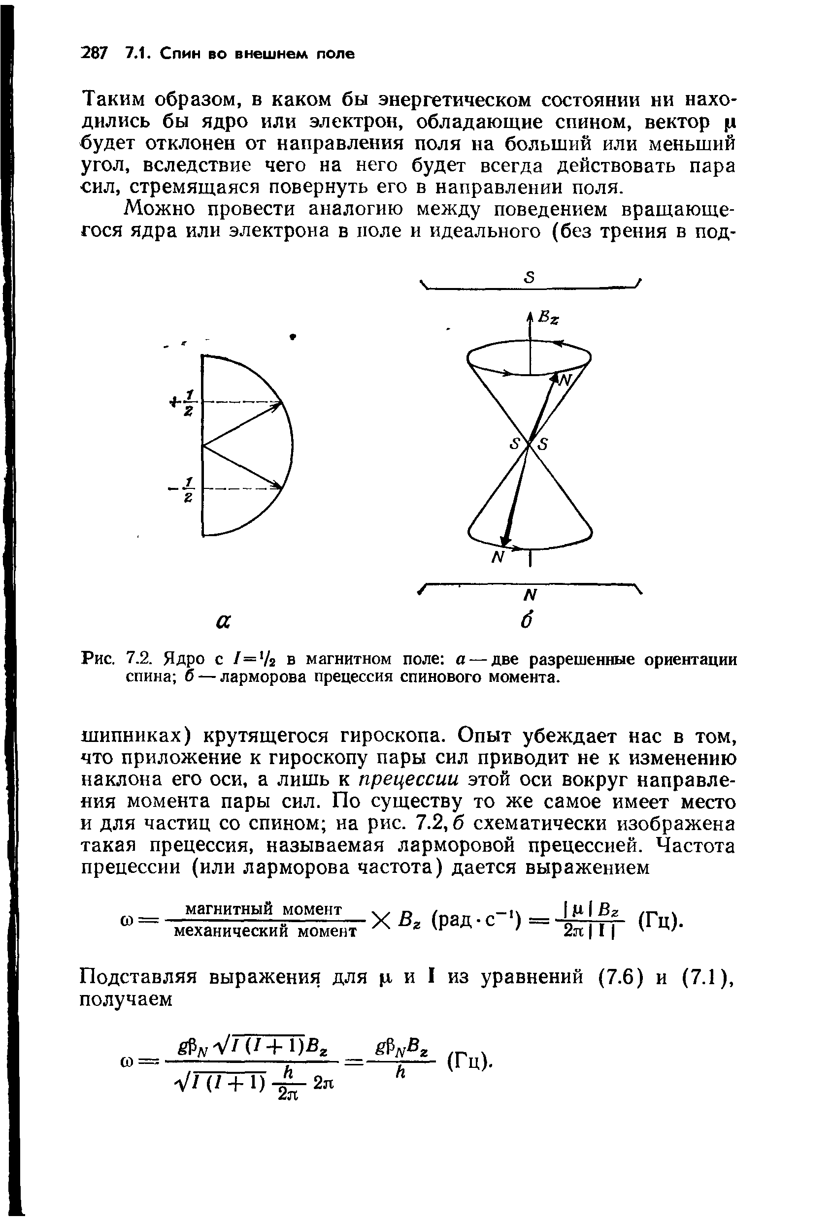 Рис. 7.2. Ядро с 1=41 в магнитном поле а — две разрешенные ориентации спина б — ларморова прецессия спинового момента.