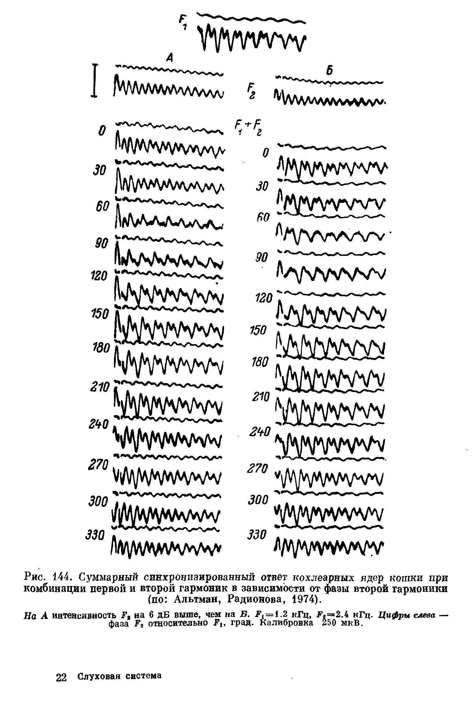 Рис. 144. Суммарный синхронизированный ответ кохлеарных ядер кошки при комбинации первой и второй гармоник в зависимости от фазы второй гармоники (по Альтман, Радионова, 1974).