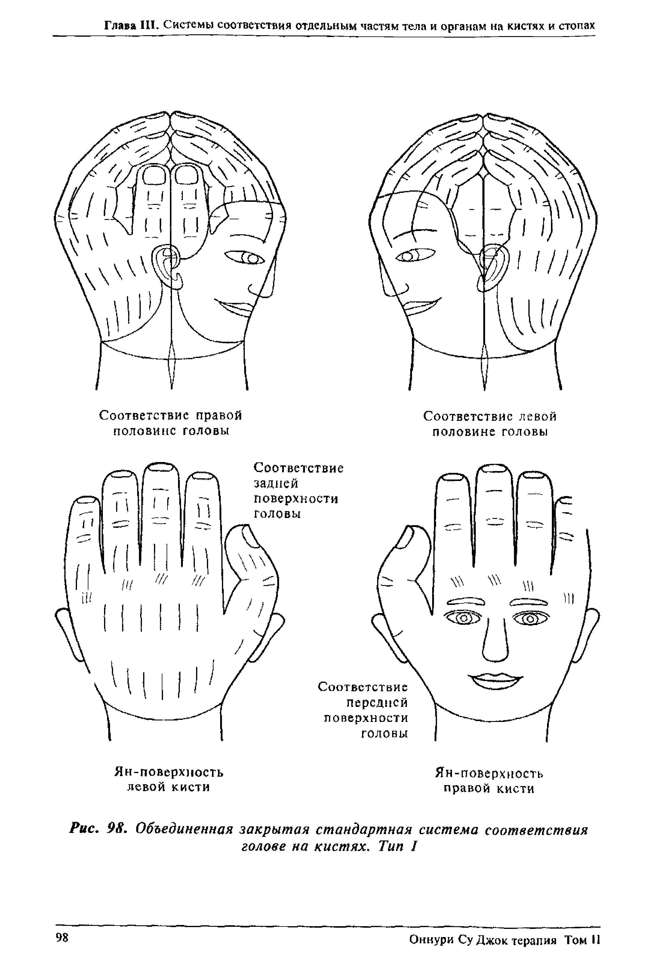 Рис. 98. Объединенная закрытая стандартная система соответствия голове на кистях. Тип I...