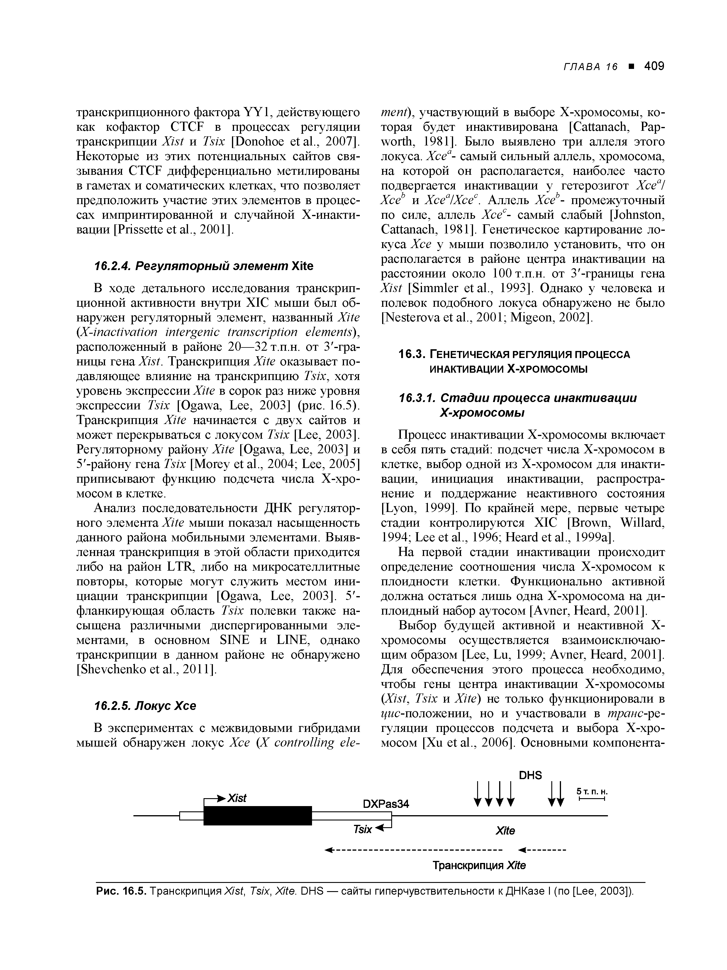 Рис. 16.5. Транскрипция X , T , X . DHS — сайты гиперчувствительности к ДНКазе I (по [L , 2003]).