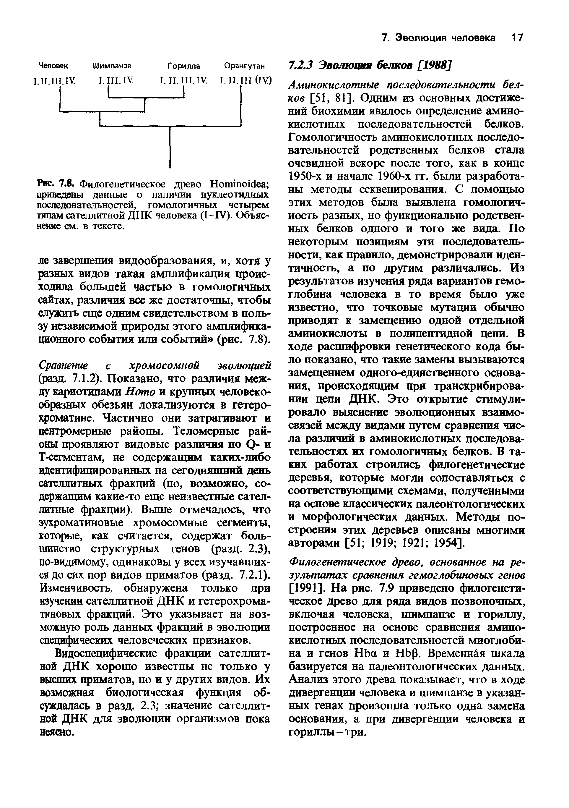 Рис. 7.8. Филогенетическое древо Нопйпо с1еа приведены данные о наличии нуклеотидных последовательностей, гомологичных четырем типам сателлитной ДНК человека ([IV). Объяснение см. в тексте.