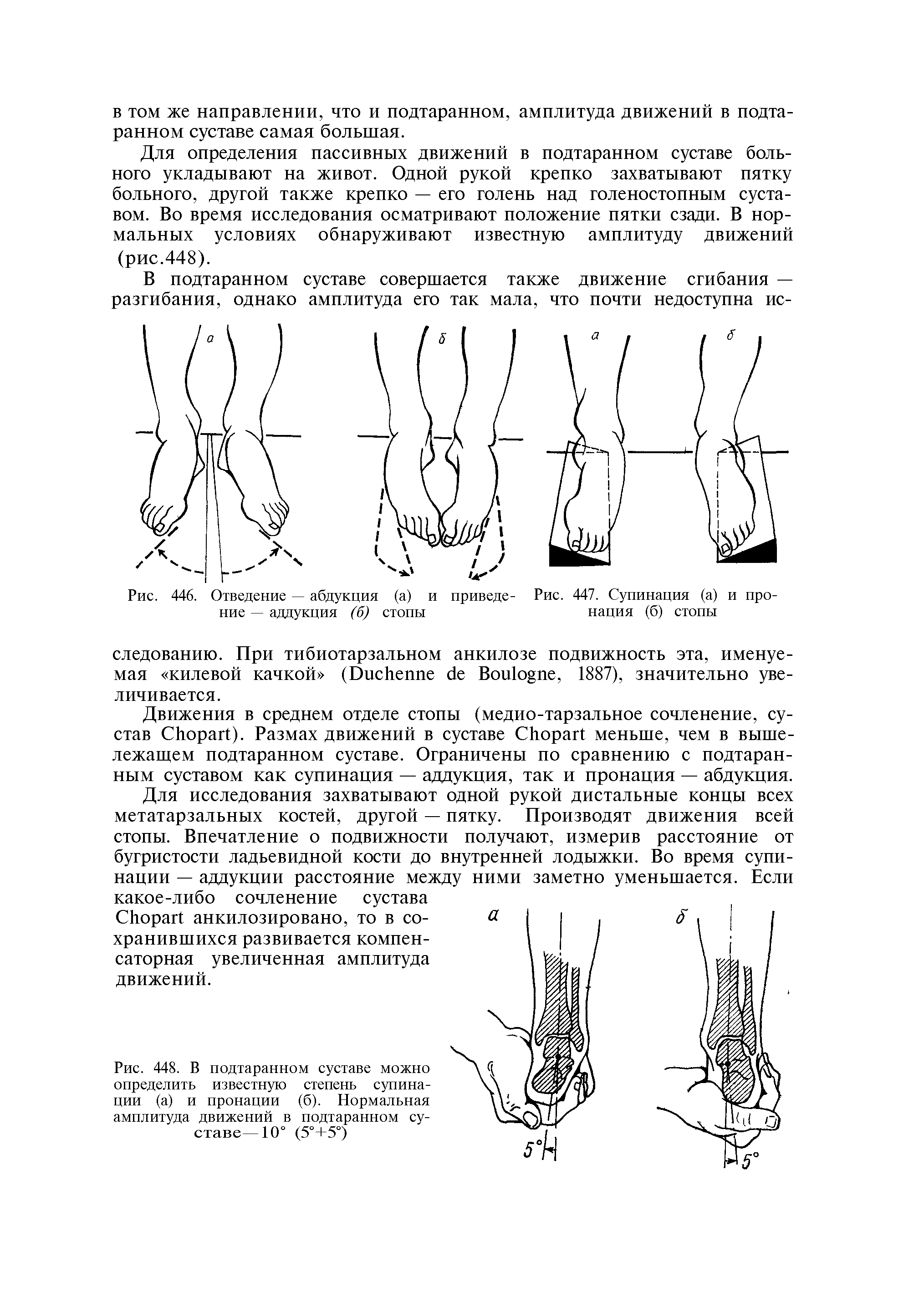 Рис. 448. В подтаранном суставе можно определить известную степень супинации (а) и пронации (б). Нормальная амплитуда движений в подтаранном суставе—10° (5°+5°)...