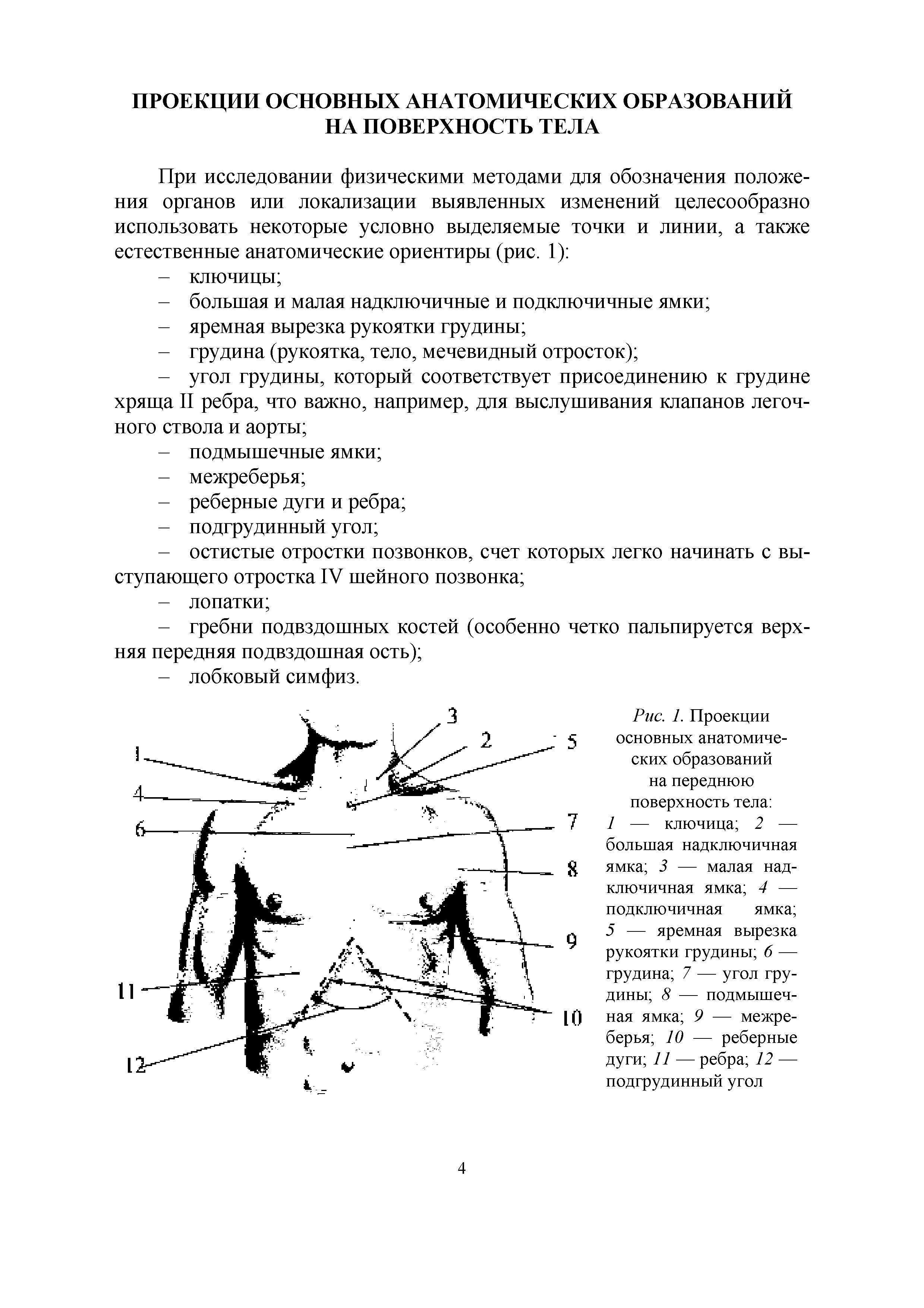 Рис. 1. Проекции основных анатомических образований на переднюю поверхность тела 1 — ключица 2 — большая надключичная ямка 3 — малая надключичная ямка 4 — подключичная ямка 5 — яремная вырезка рукоятки грудины 6 — грудина 7 — угол грудины 8 — подмышечная ямка 9 — межреберья 10 — реберные дуги 11 — ребра 12 — подгрудинный угол...