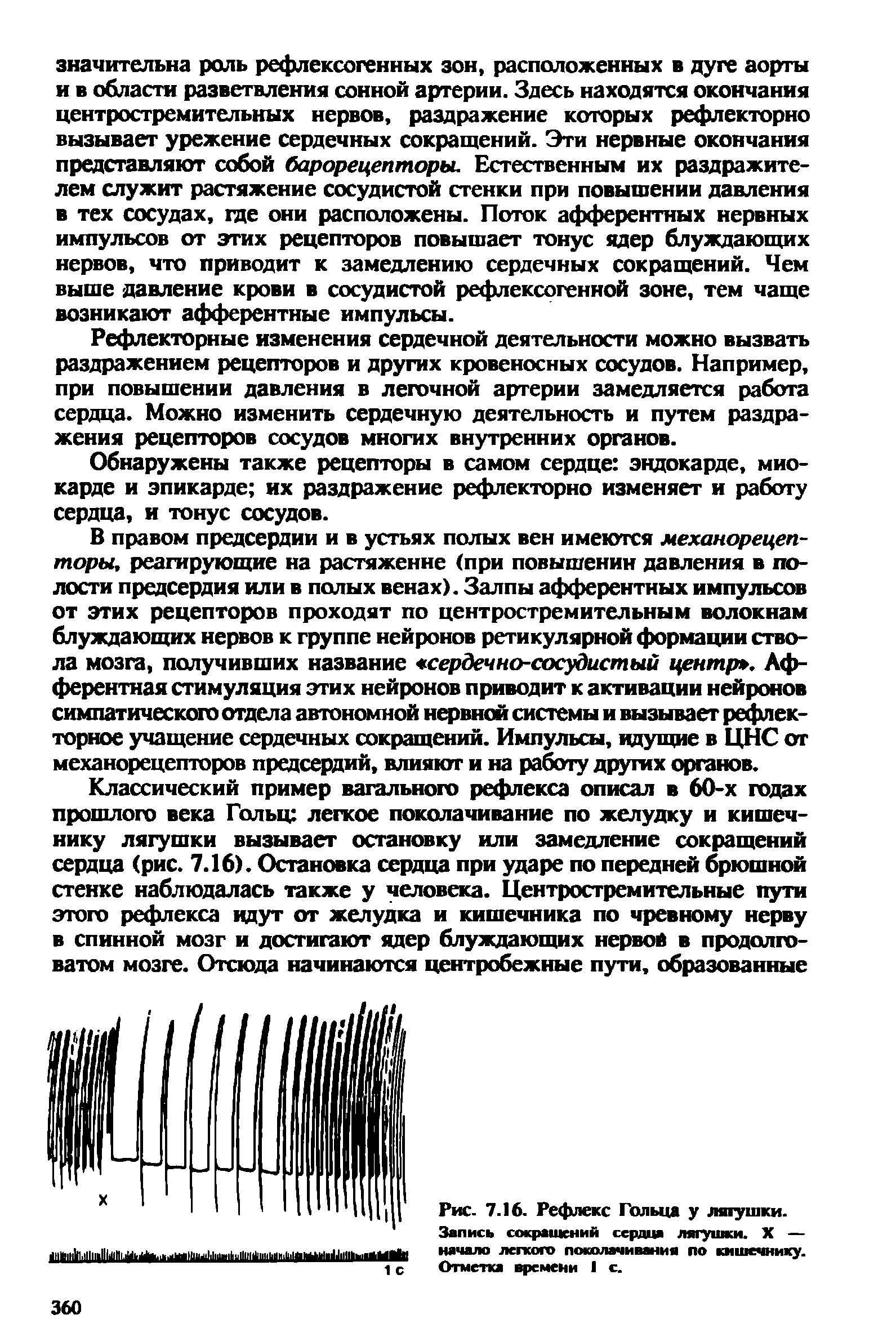 Рис. 7.16. Рефлекс Гольца у лягушки. Запись сокращений сердца лягушки. X — начало легкого поколачивания по кишечнику. Отметка времени 1 с.