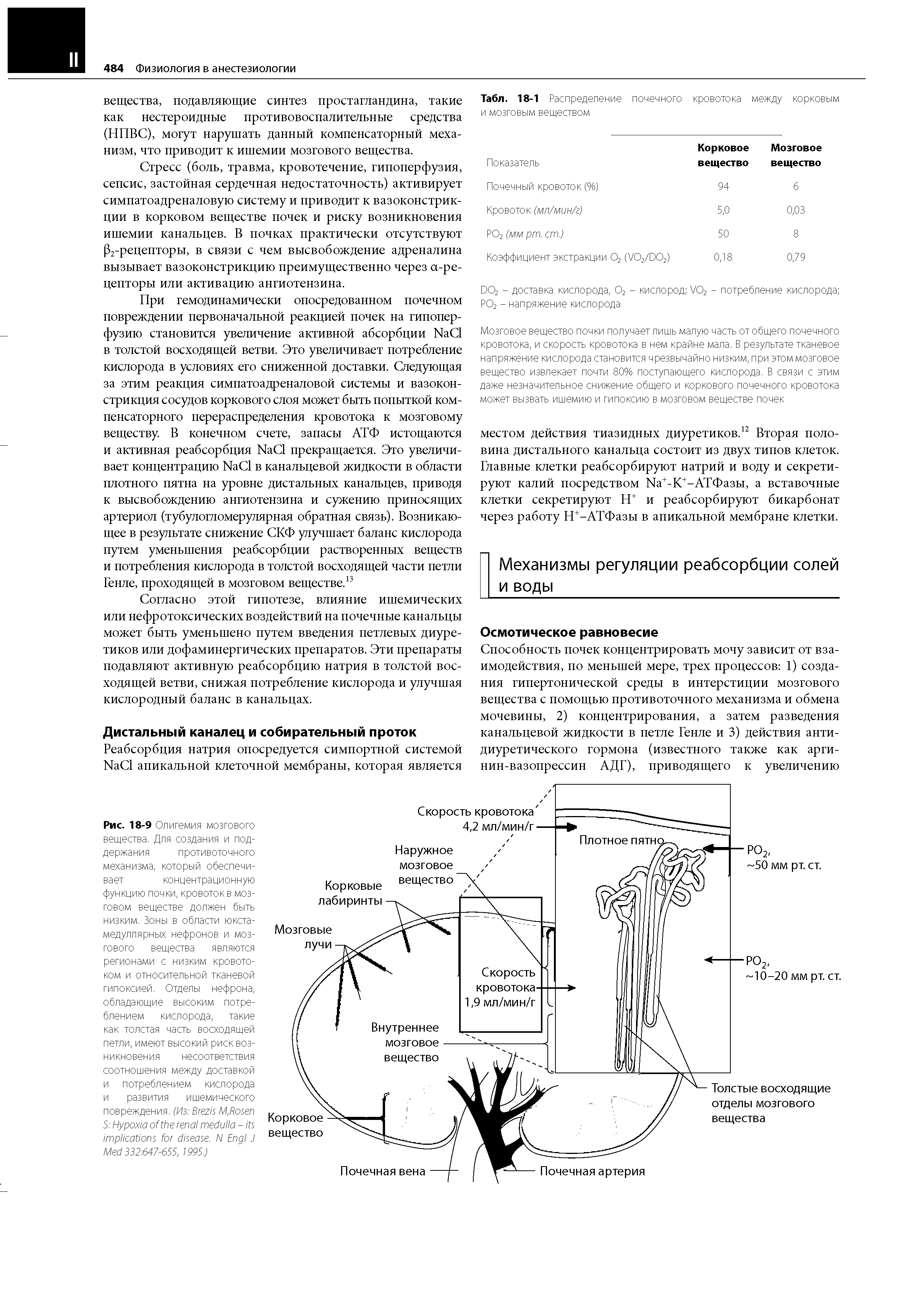 Табл. 18-1 Распределение почечного и мозговым веществом кровотока между корковым...