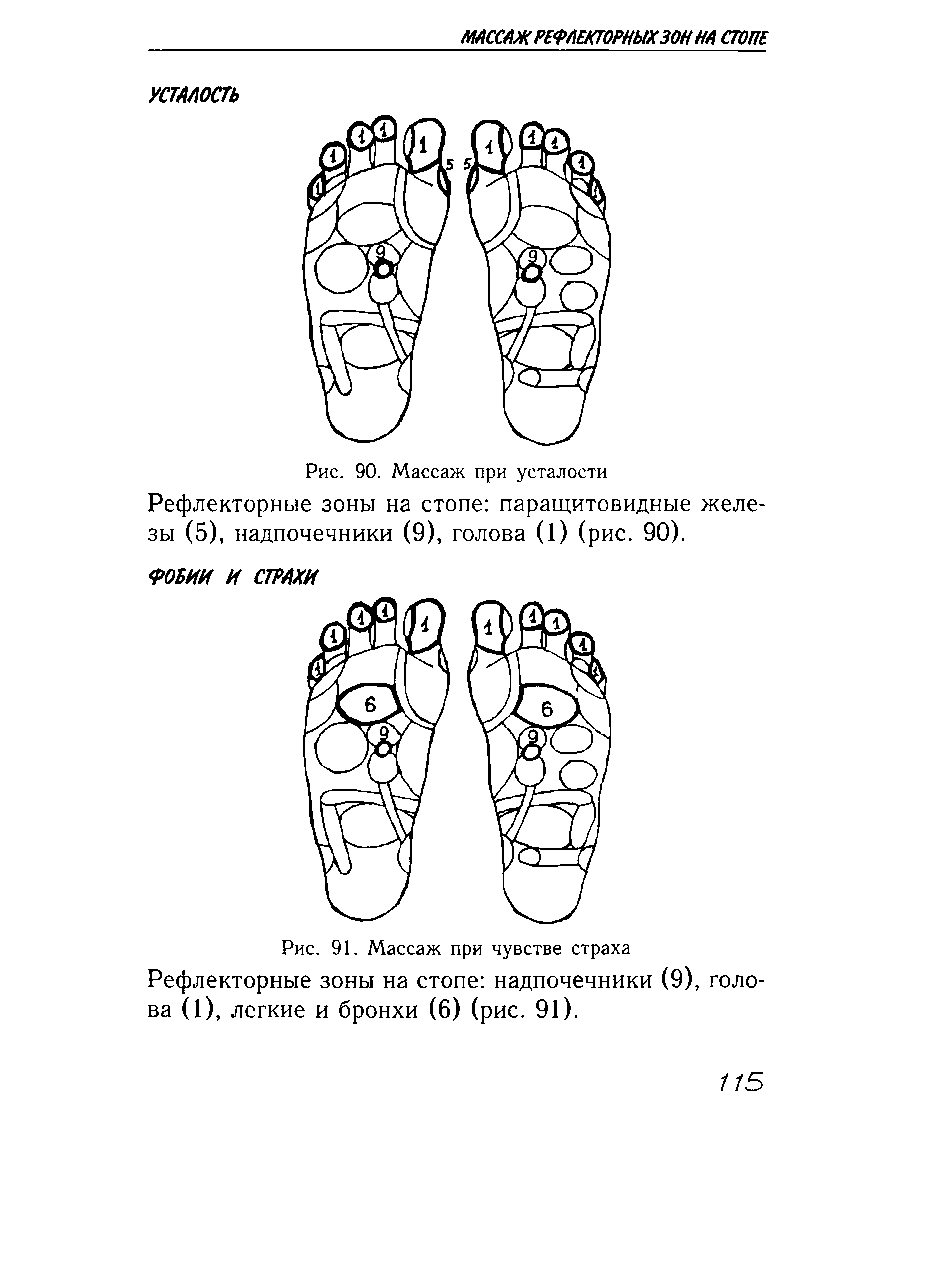 Рис. 90. Массаж при усталости Рефлекторные зоны на стопе паращитовидные железы (5), надпочечники (9), голова (1) (рис. 90).