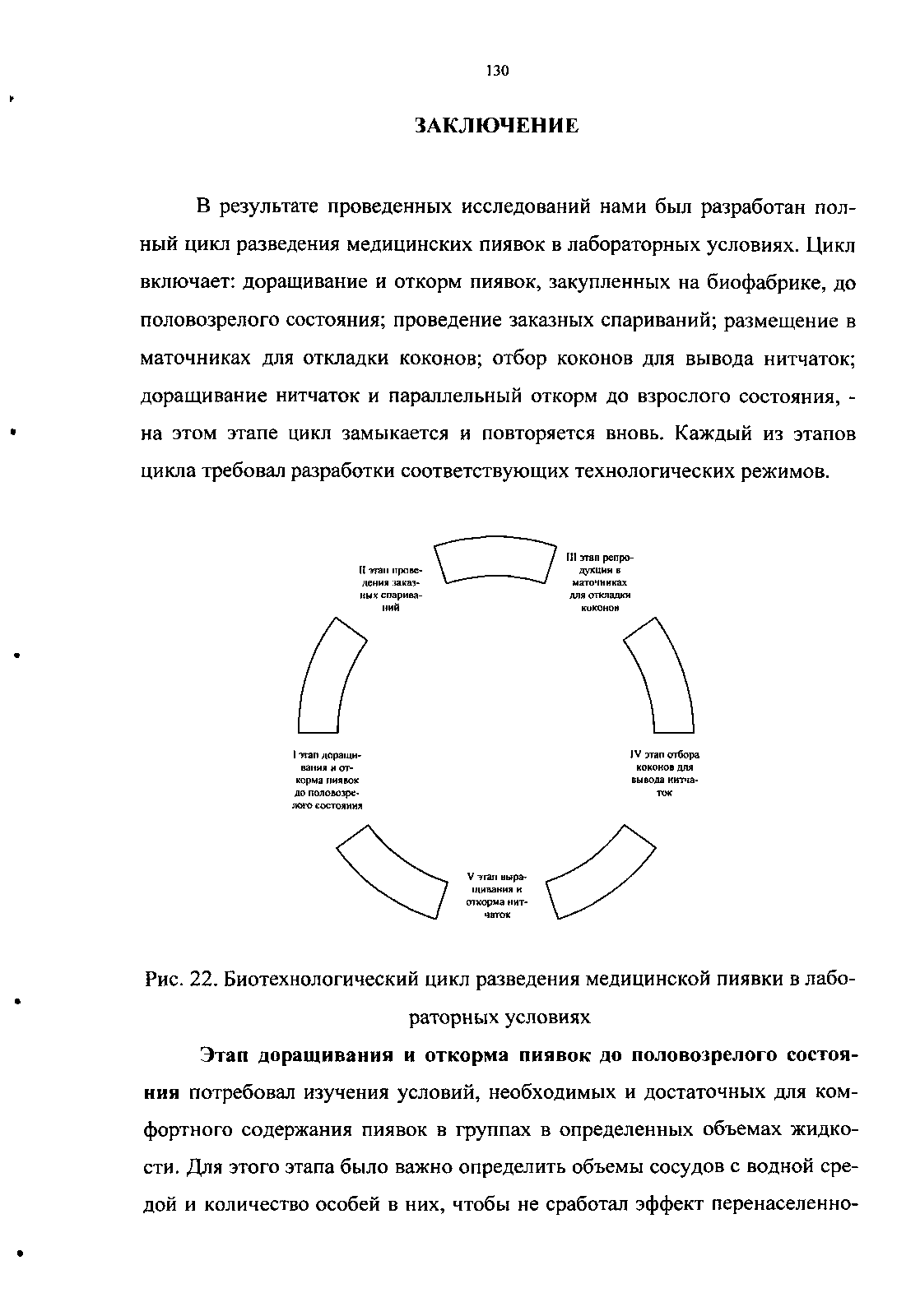 Рис. 22. Биотехнологический цикл разведения медицинской пиявки в лабораторных условиях...