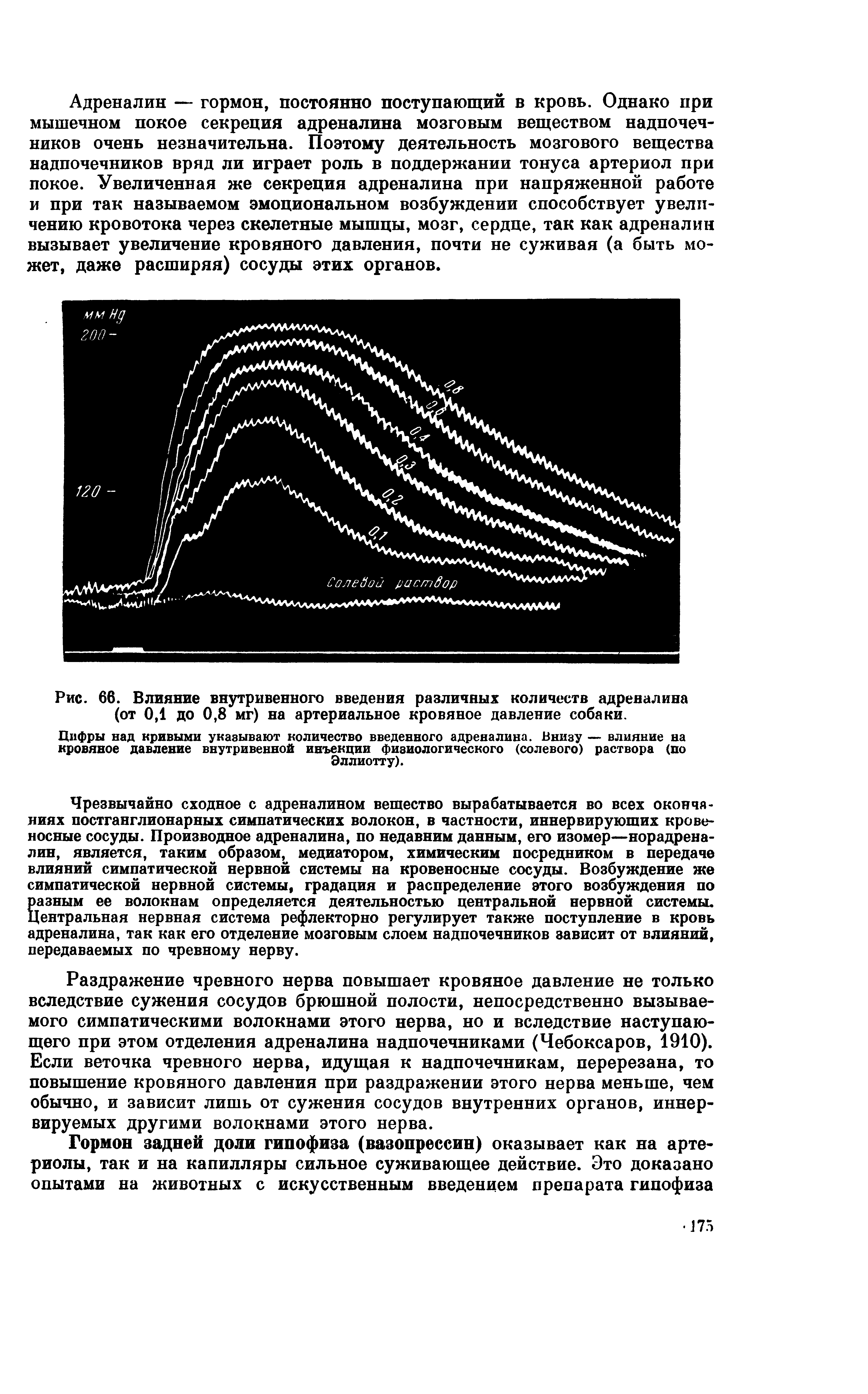 Рис. 66. Влияние внутривенного введения различных количеств адреналина (от 0,1 до 0,8 мг) на артериальное кровяное давление собаки.