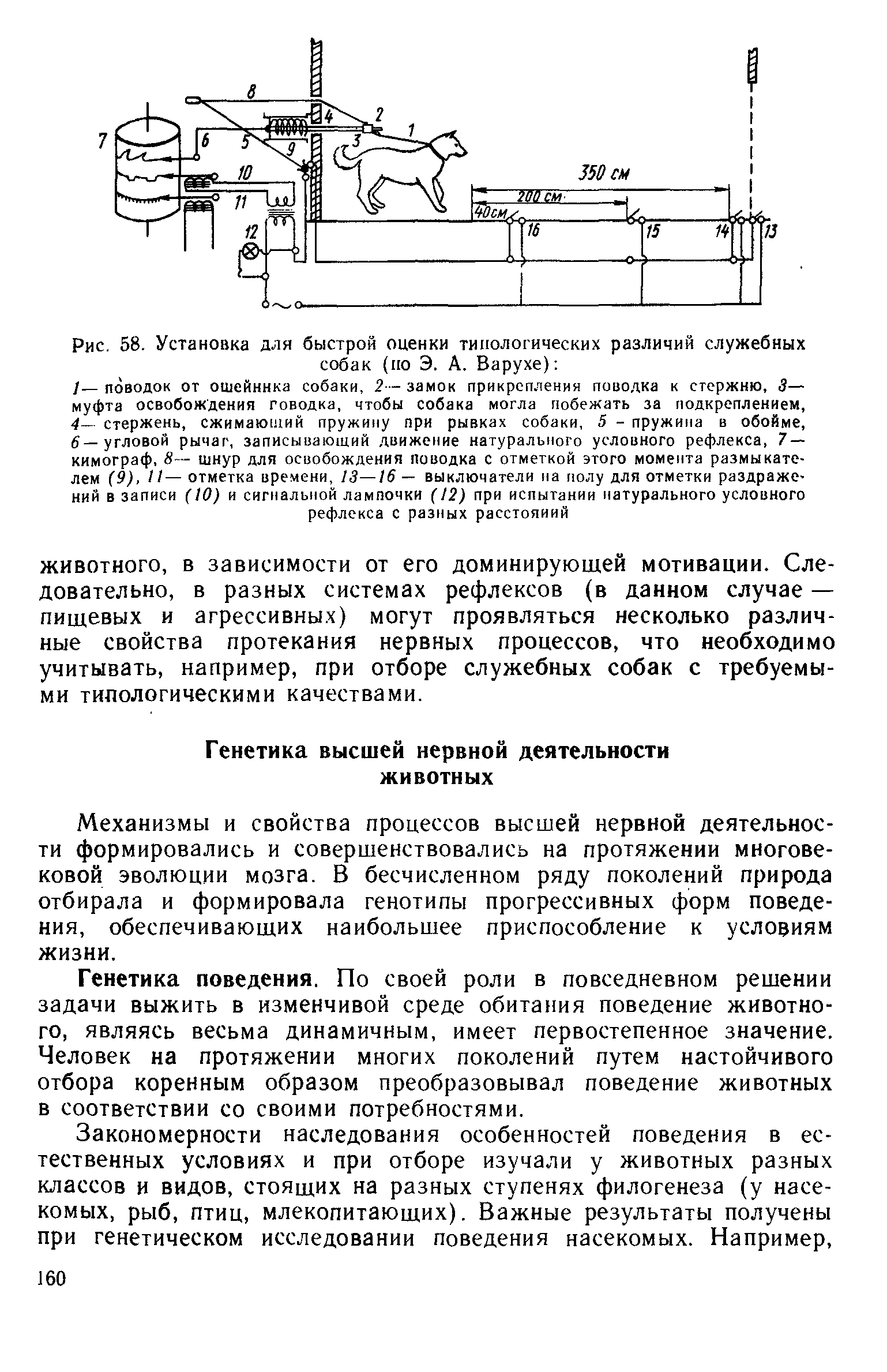 Рис. 58. Установка для быстрой оценки типологических различий служебных собак (по Э. А. Варухе) ...