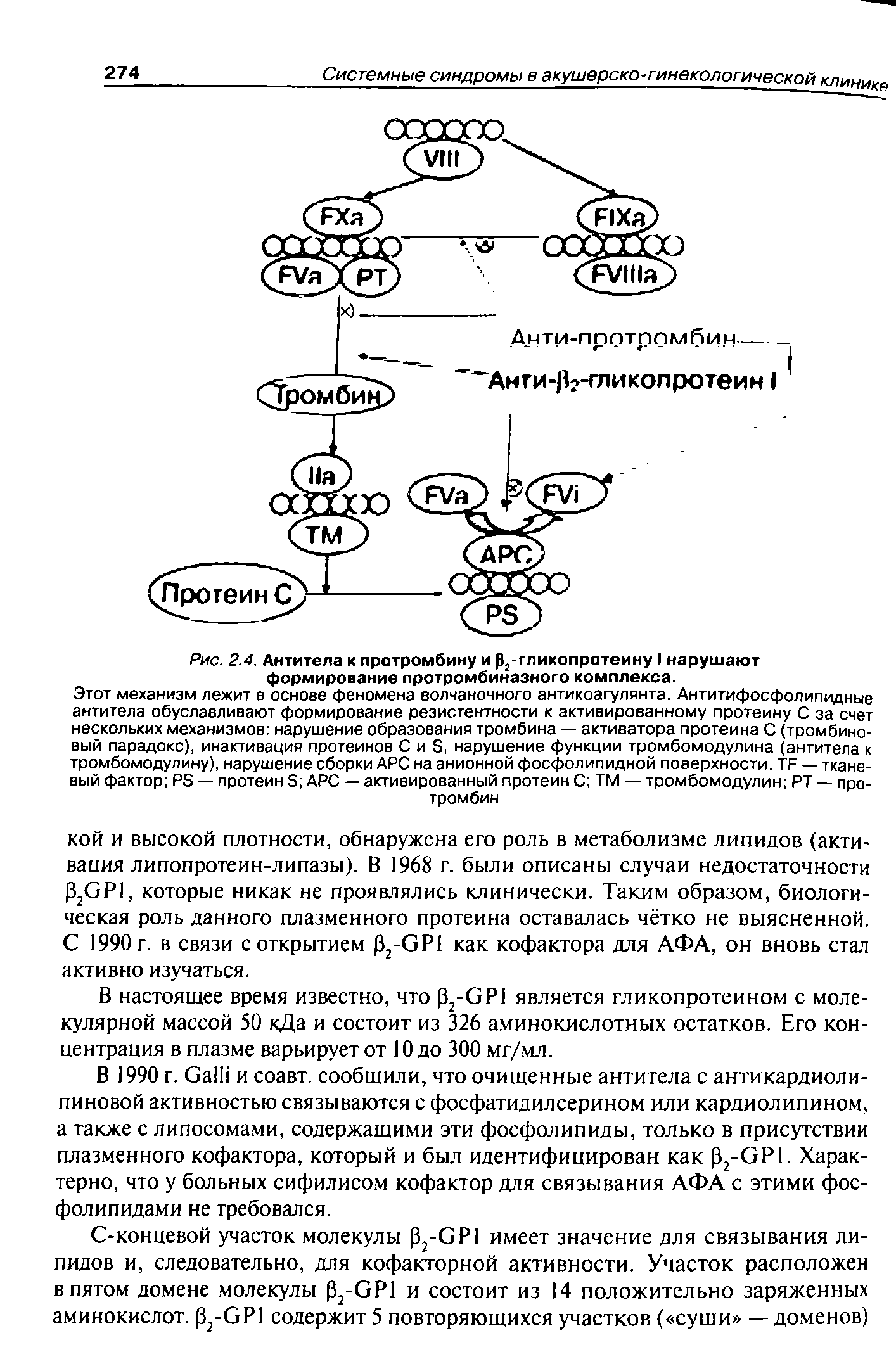 Рис. 2.4. Антитела к протромбину и 02-гликопротеину I нарушают формирование протромбиназного комплекса.