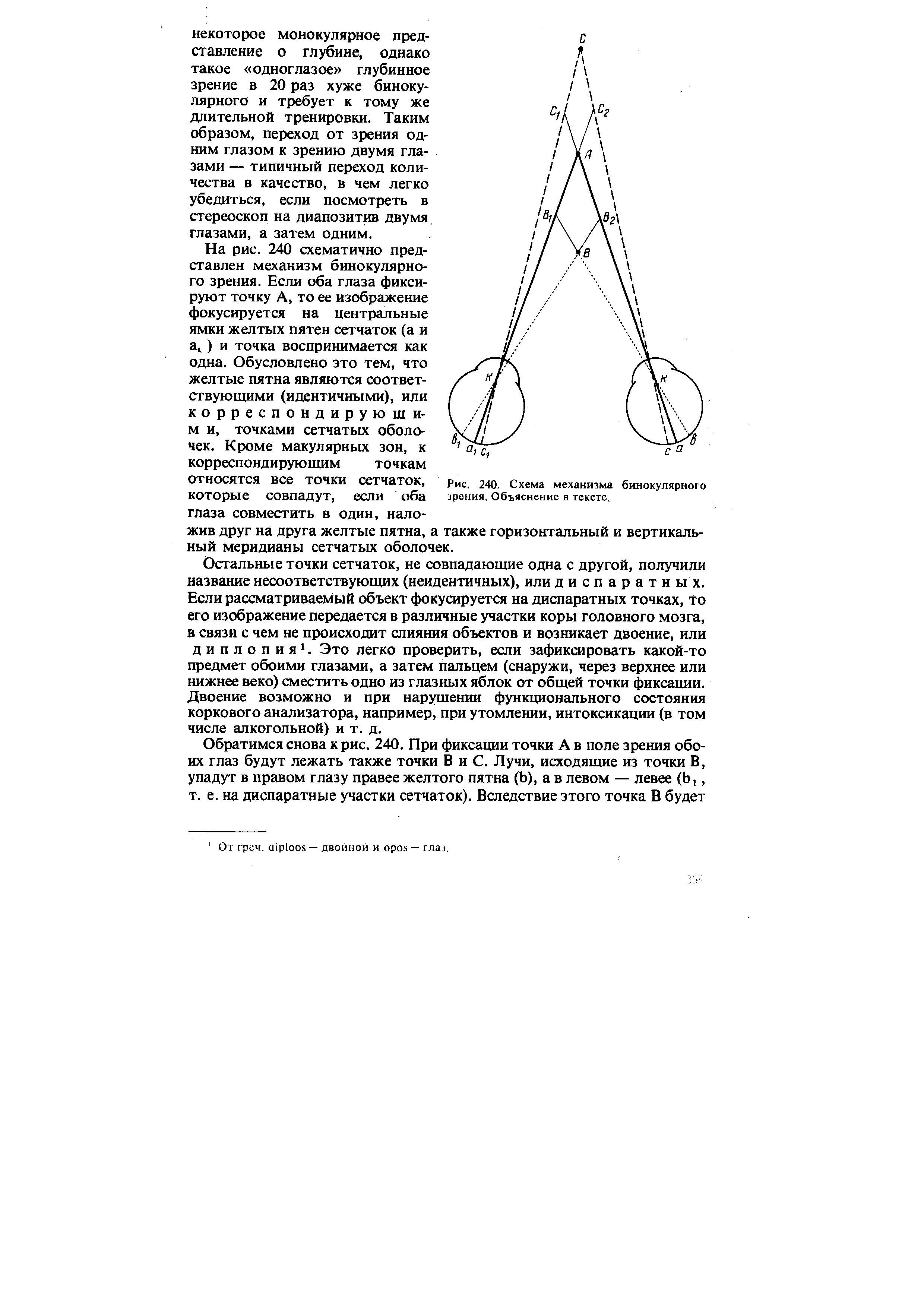 Рис. 240. Схема механизма бинокулярного зрения. Объяснение в тексте.