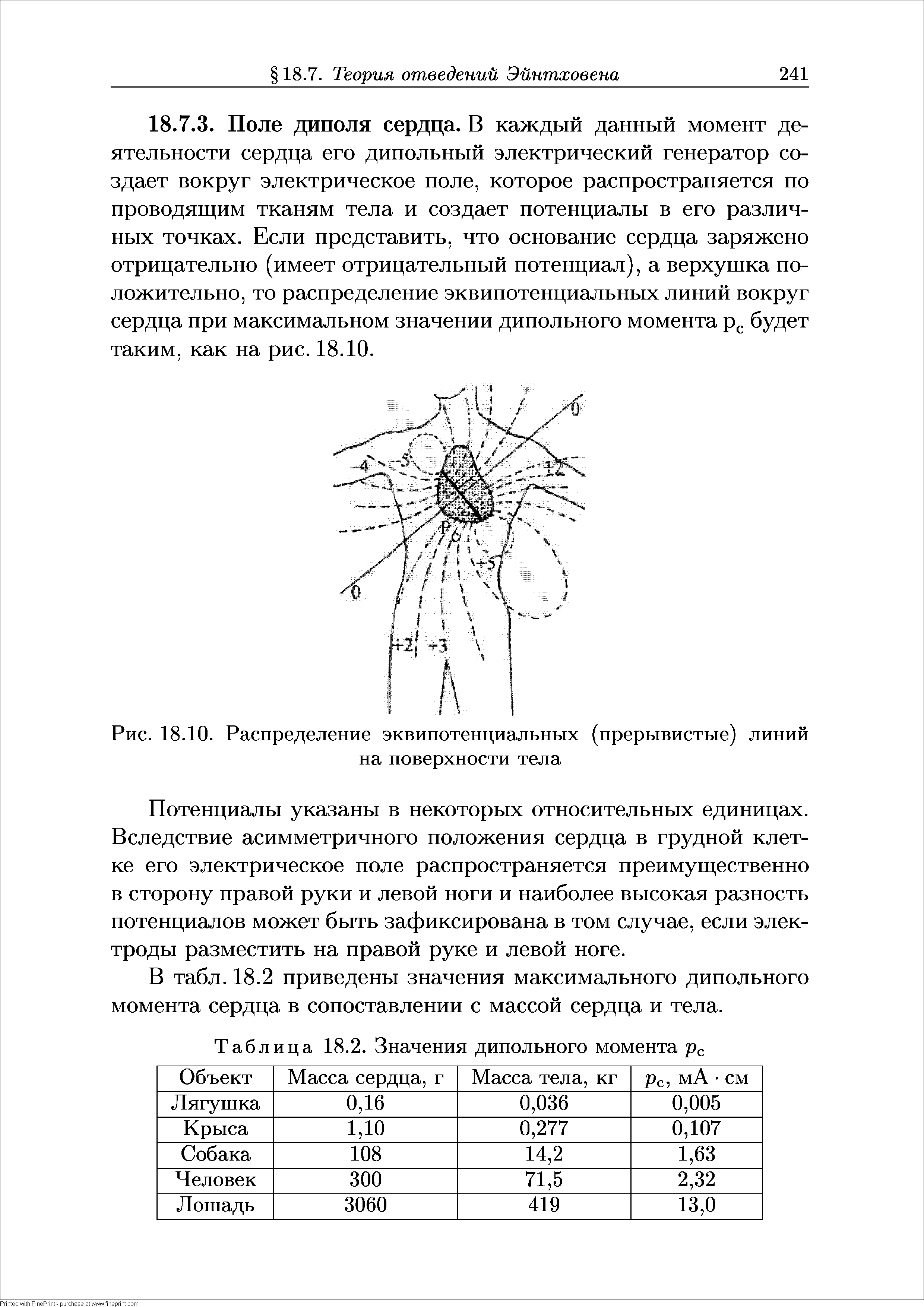 Рис. 18.10. Распределение эквипотенциальных (прерывистые) линий на поверхности тела...