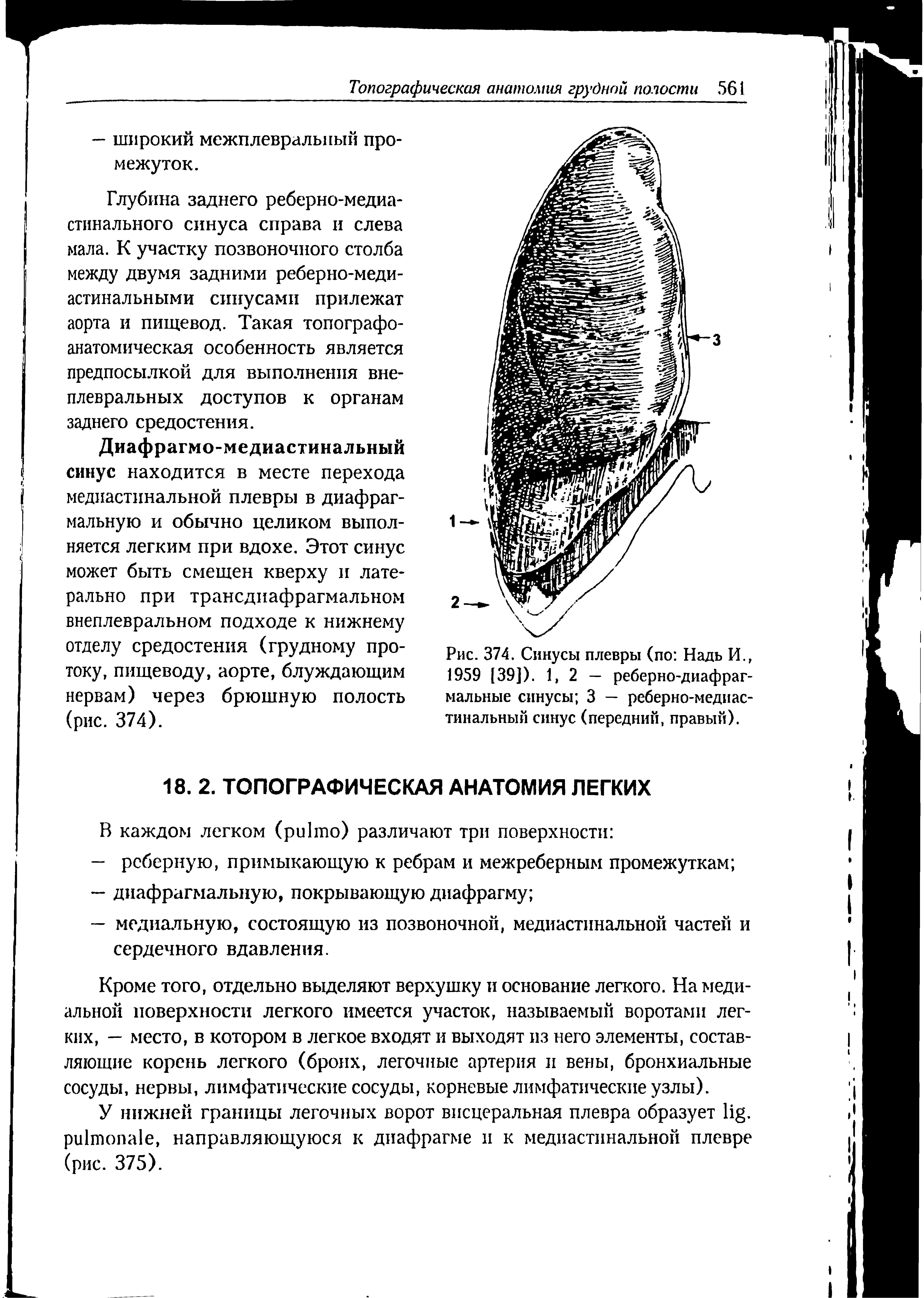 Рис. 374. Синусы плевры (по Надь И., 1959 [39]). 1,2 — реберно-диафрагмальные синусы 3 — реберно-медиастинальный синус (передний, правый).