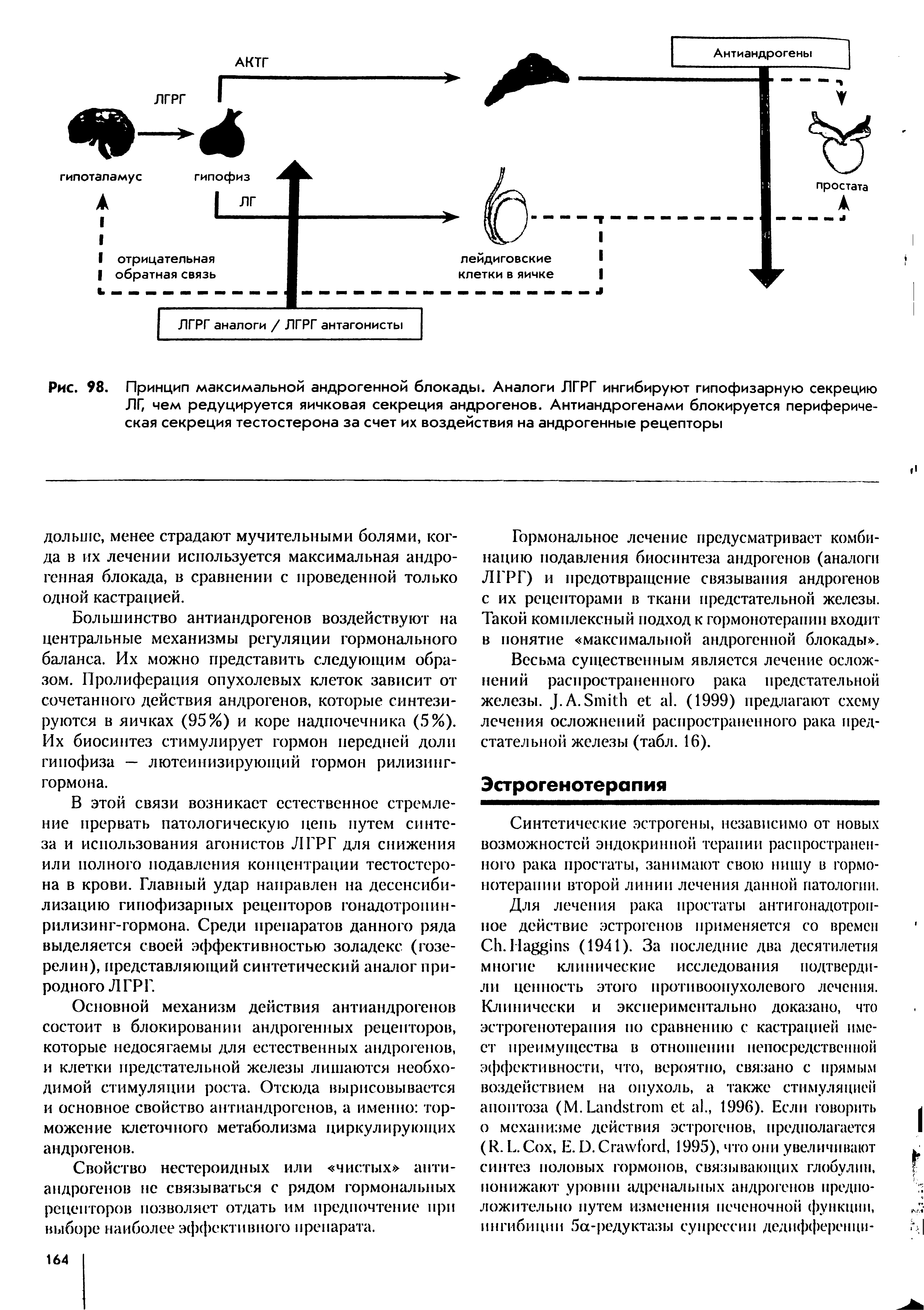 Рис. 98. Принцип максимальной андрогенной блокады. Аналоги ЛГРГ ингибируют гипофизарную секрецию Л Г, чем редуцируется яичковая секреция андрогенов. Антиандрогенами блокируется периферическая секреция тестостерона за счет их воздействия на андрогенные рецепторы...