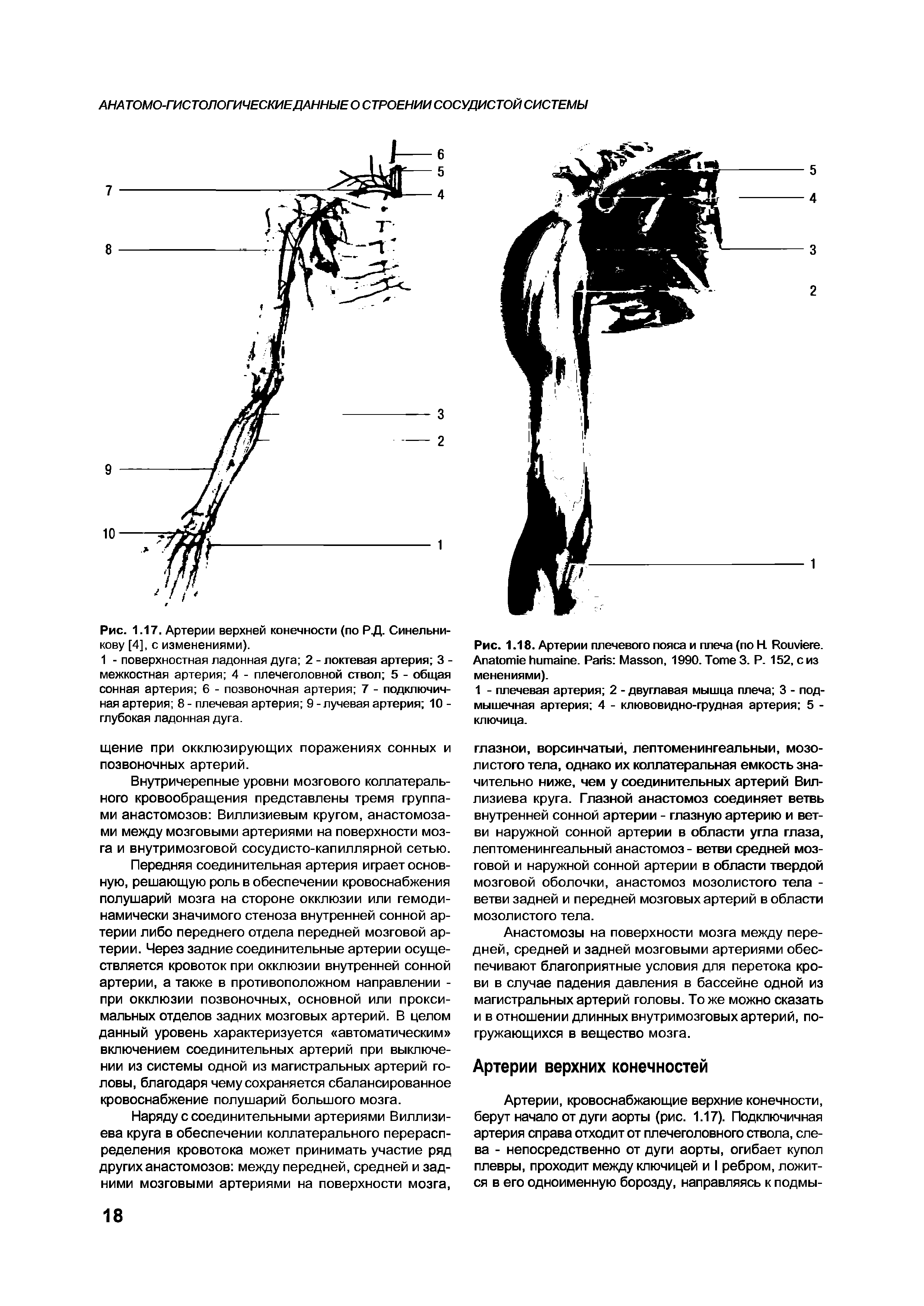 Рис. 1.18. Артерии плечевого пояса и плеча (по H. R . A . P M , 1990. T 3. P. 152, сиз менениями).