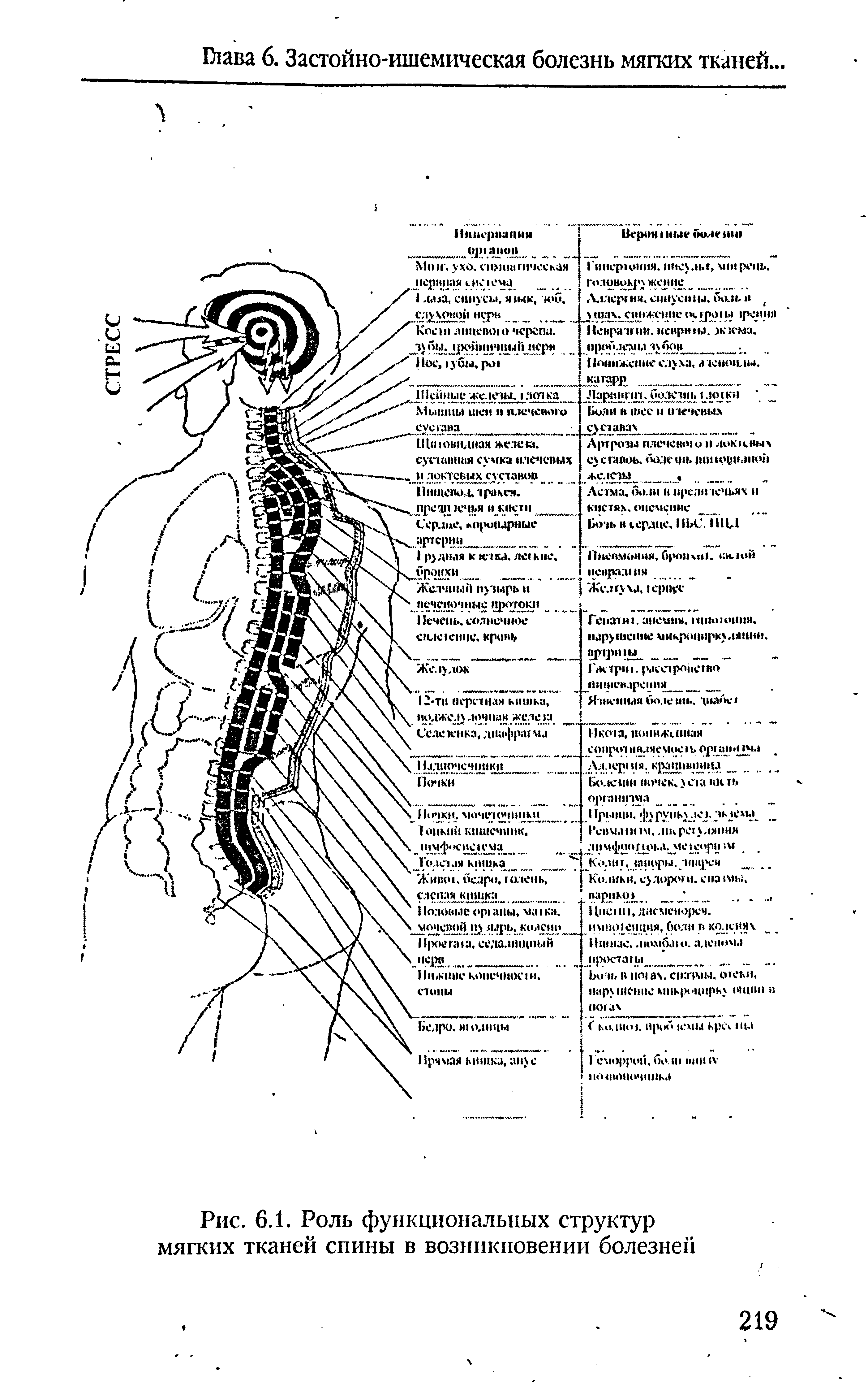 Рис. 6.1. Роль функциональных структур мягких тканей спины в возникновении болезней...