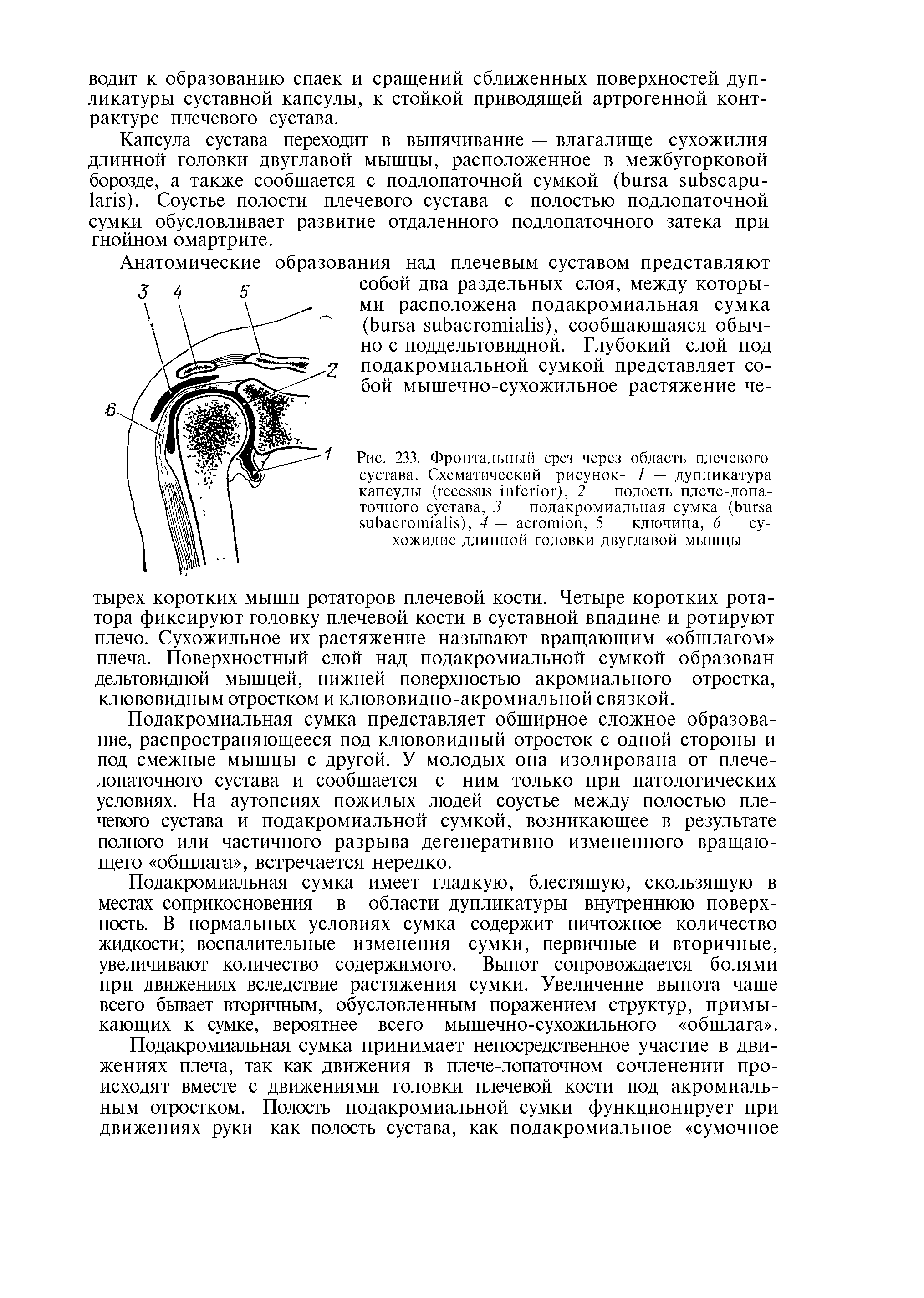 Рис. 233. Фронтальный срез через область плечевого сустава. Схематический рисунок- 1 — дупликатура капсулы ( ), 2 — полость плече-лопа-точного сустава, 3 — подакромиальная сумка ( ), 4 — , 5 — ключица, 6 — сухожилие длинной головки двуглавой мышцы...