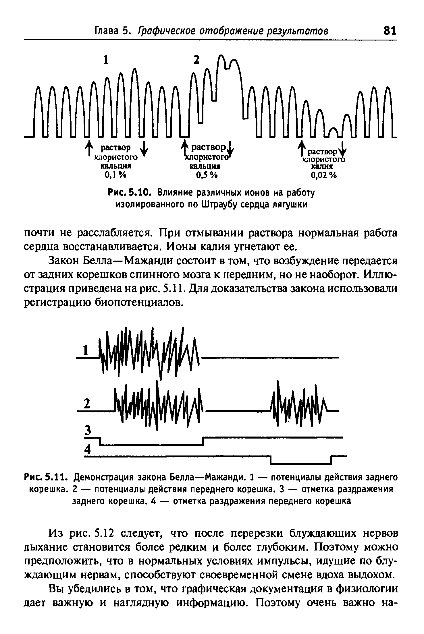 Рис. 5.11. Демонстрация закона Белла—Мажанди. 1 — потенциалы действия заднего корешка. 2 — потенциалы действия переднего корешка. 3 — отметка раздражения заднего корешка. 4 — отметка раздражения переднего корешка...