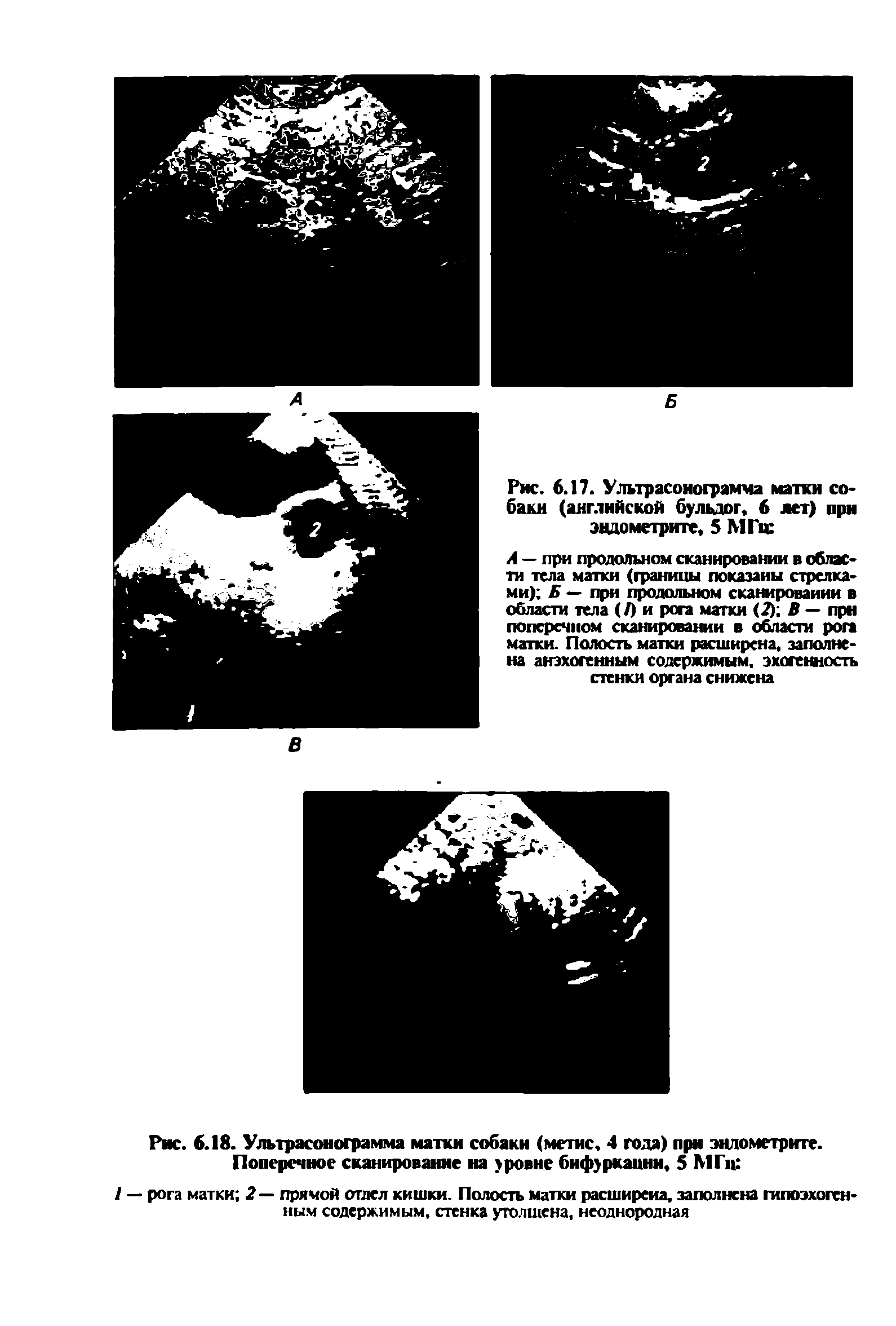 Рис. 6.17. Ультрасоиограмма матки собаки (английской бульдог, 6 лет) при эндометрите, 5 МГц ...