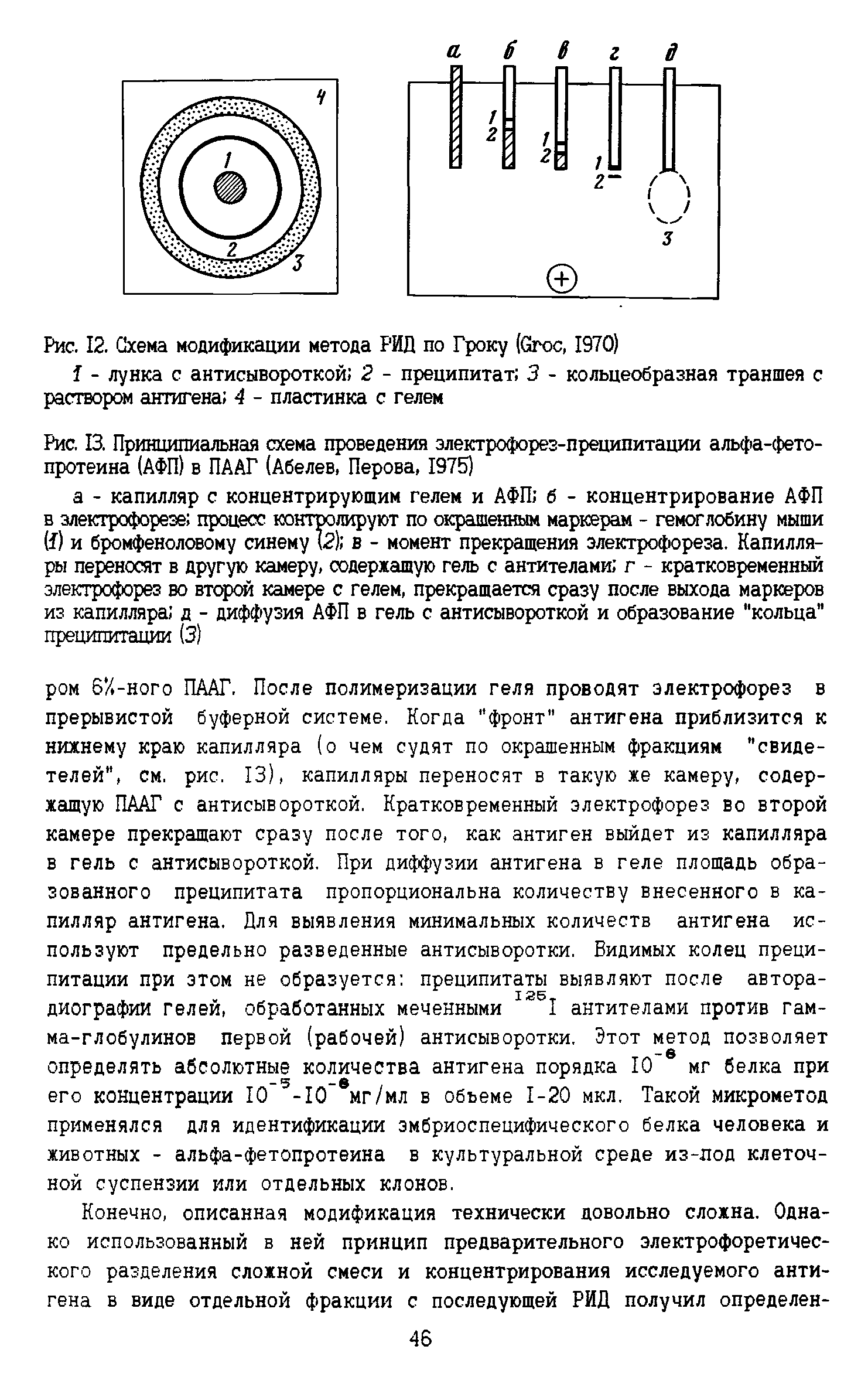 Рис. 13. Принципиальная схема проведения электрофорез-преципитации альфа-фето-протеина (АФП) в ПААТ (Абелев, Перова, 1975)...