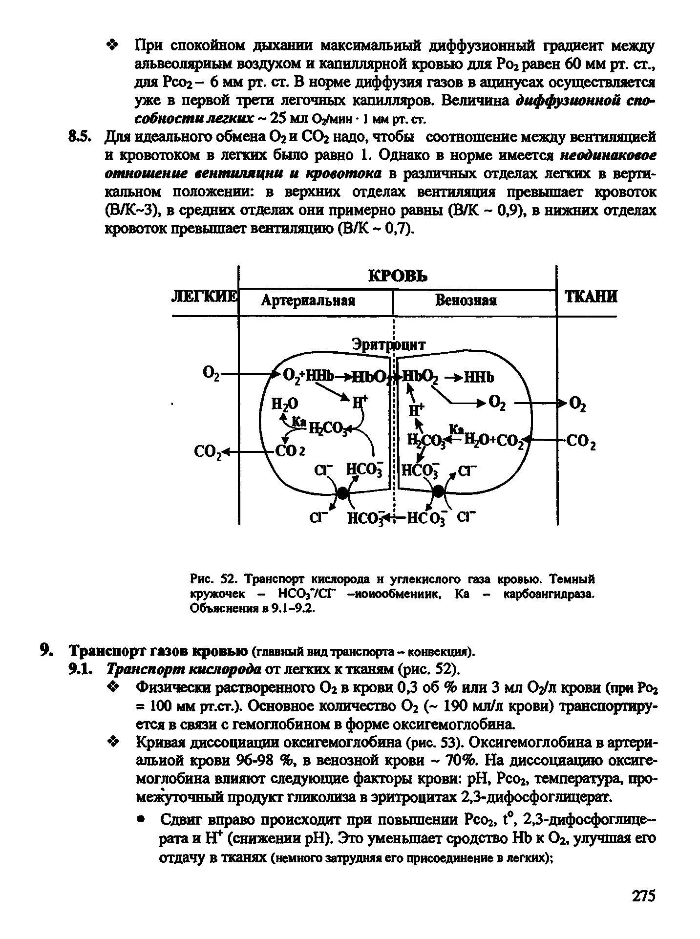 Рис. 52. Транспорт кислорода н углекислого газа кровью. Темный кружочек - НСО37СГ -иоиообмениик. Ка - карбоангидраза. Объяснения я 9.1-9.2.