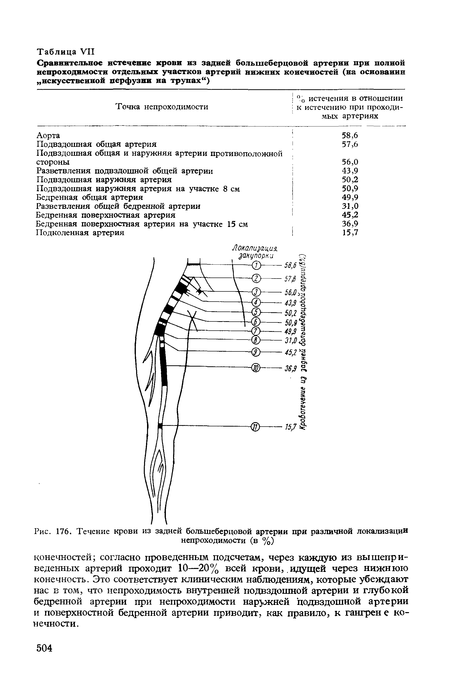 Рис. 176. Течение крови из задней большеберцовой артерии при различной локализации непроходимости (в %)...