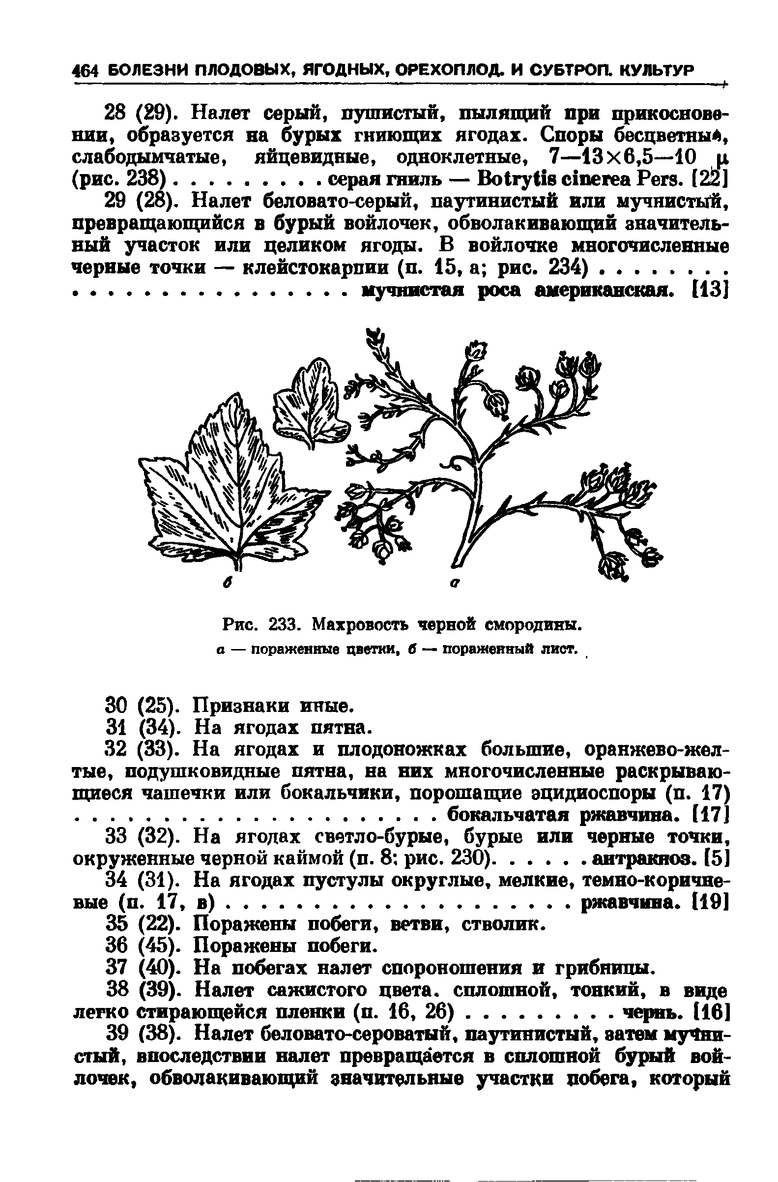 Рис. 233. Махровость черной смородины, а — пораженные цветки, б — пораженный лист.