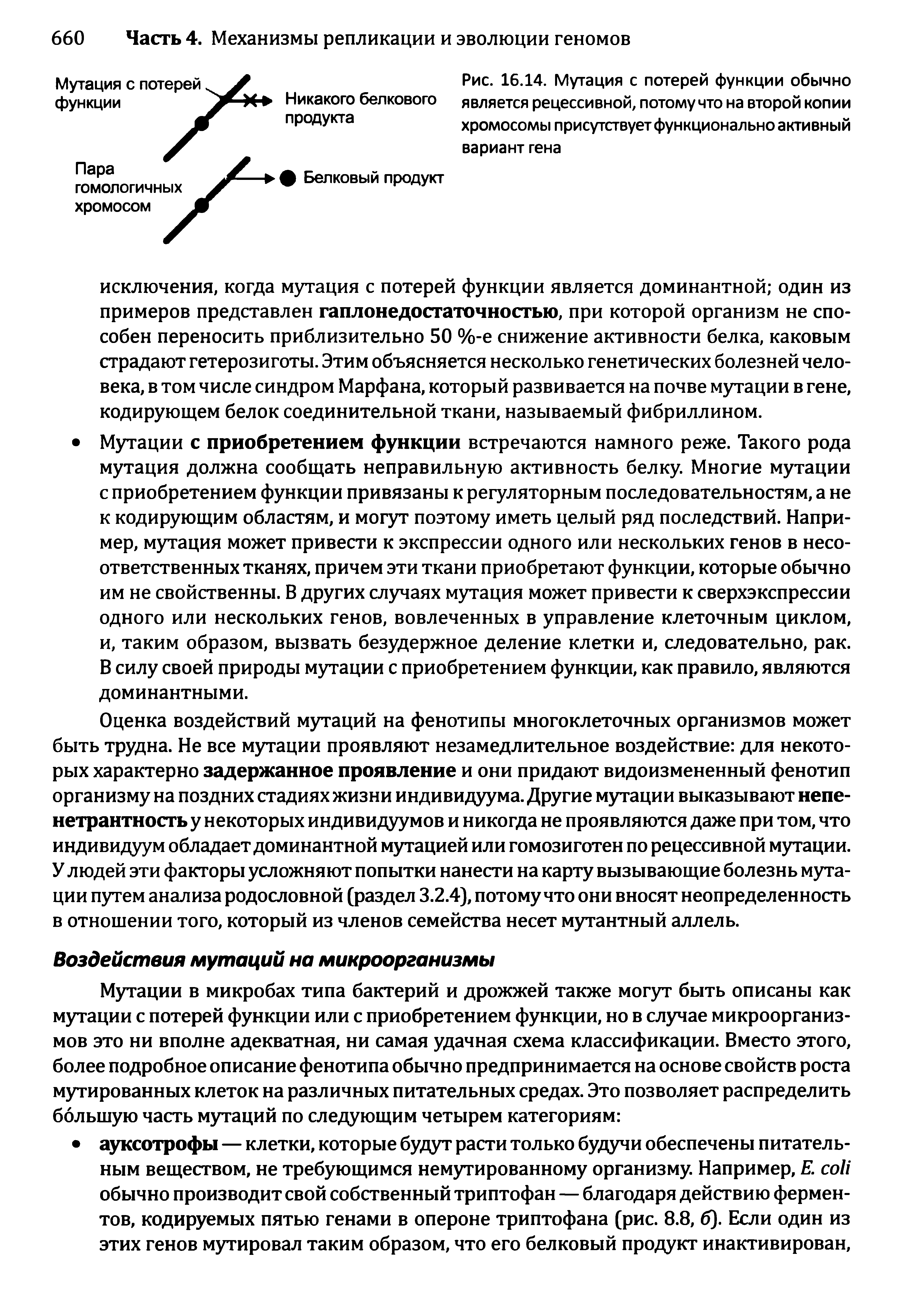 Рис. 16.14. Мутация с потерей функции обычно является рецессивной, потому что на второй копии хромосомы присутствует функционально активный вариант гена...