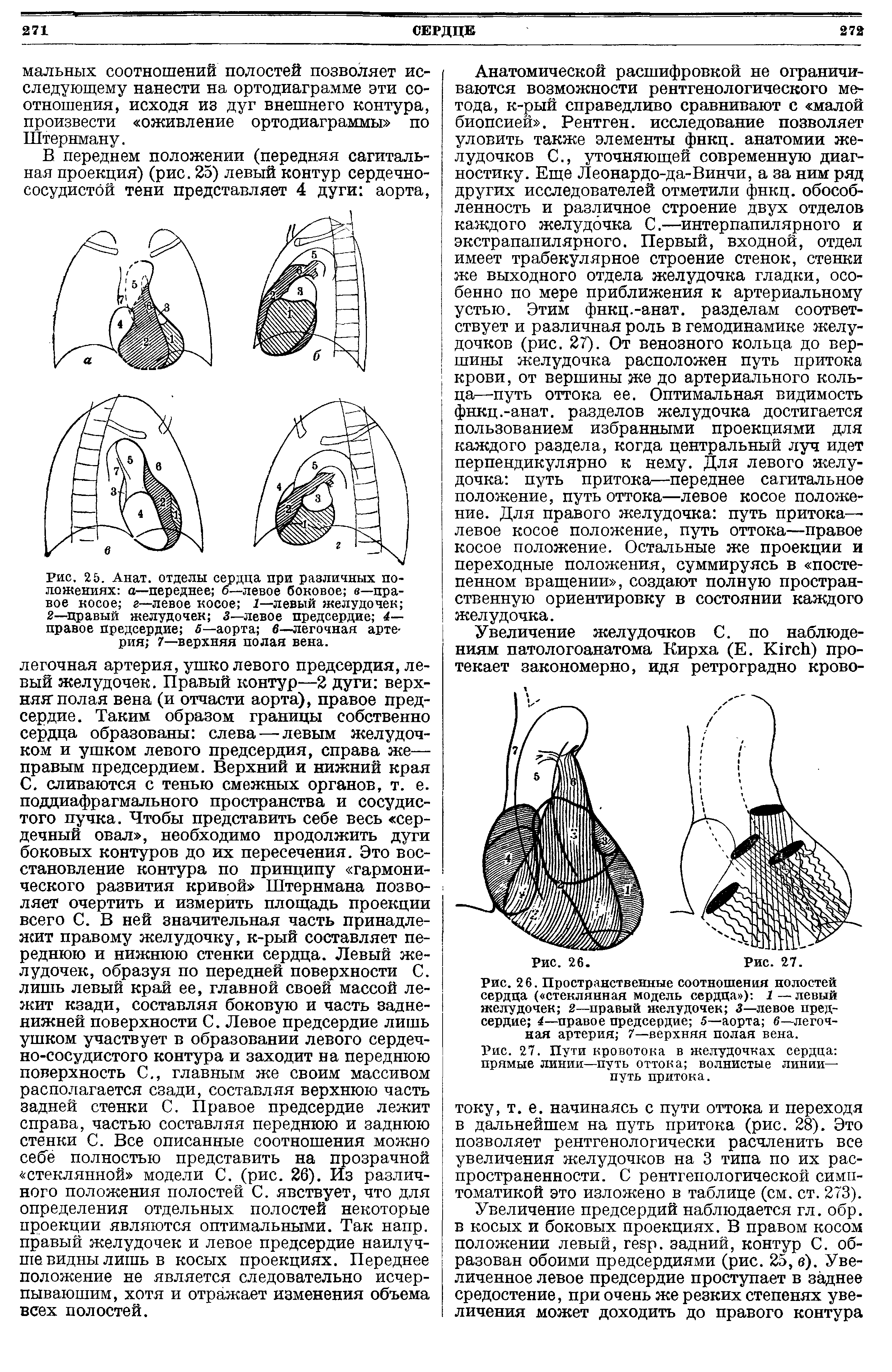 Рис. 2 6. Пространственные соотношения полостей сердца ( стеклянная модель сердца ) 1 —левый желудочек 2—правый желудочек 3—левое предсердие 4—правое предсердие 5—аорта в—легочная артерия 7—верхняя полая вена.