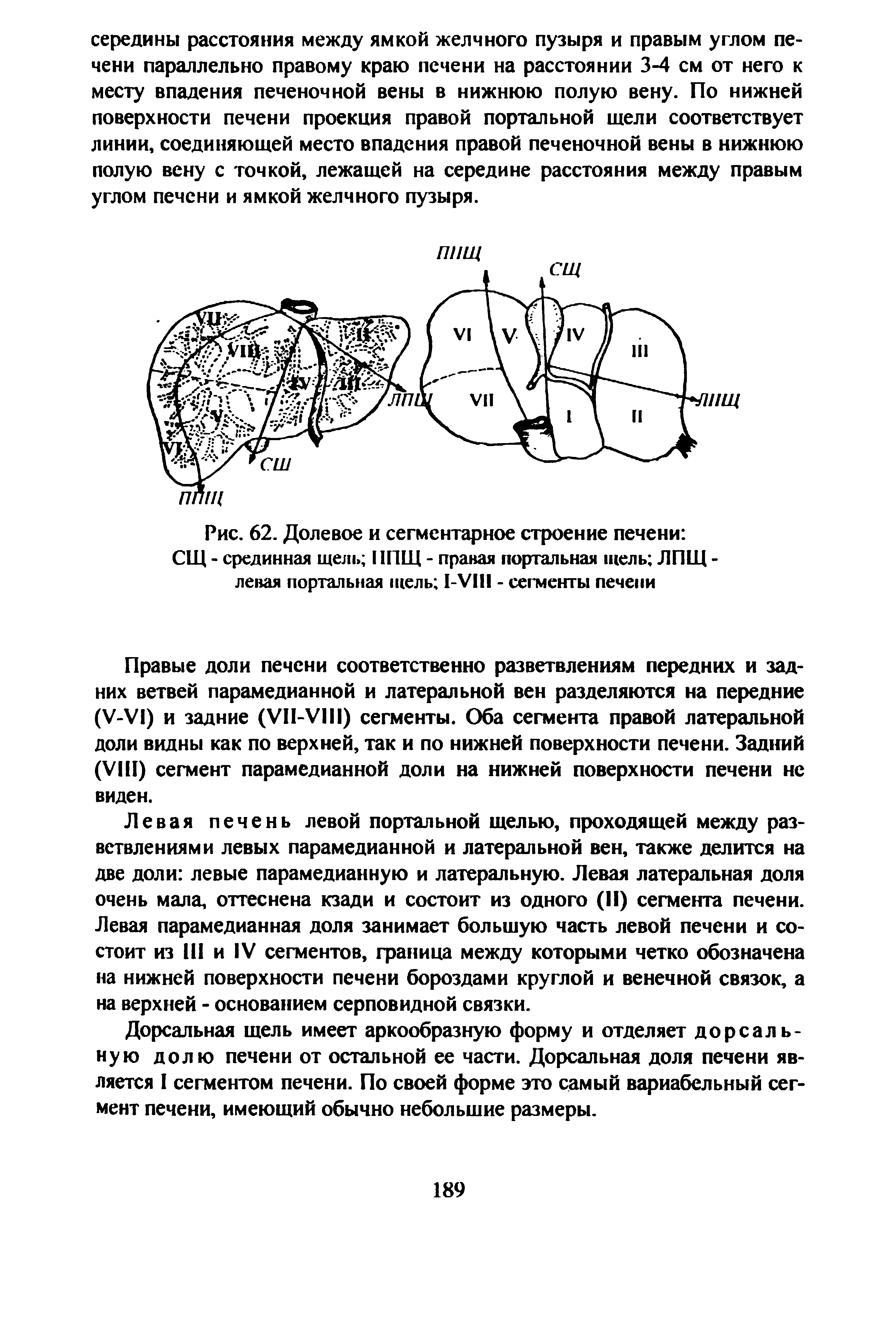 Рис. 62. Долевое и сегментарное строение печени СЩ - срединная щель НПЩ - правая портальная щель ЛПЩ -левая портальная щель 1-УП1 - сегменты печени...