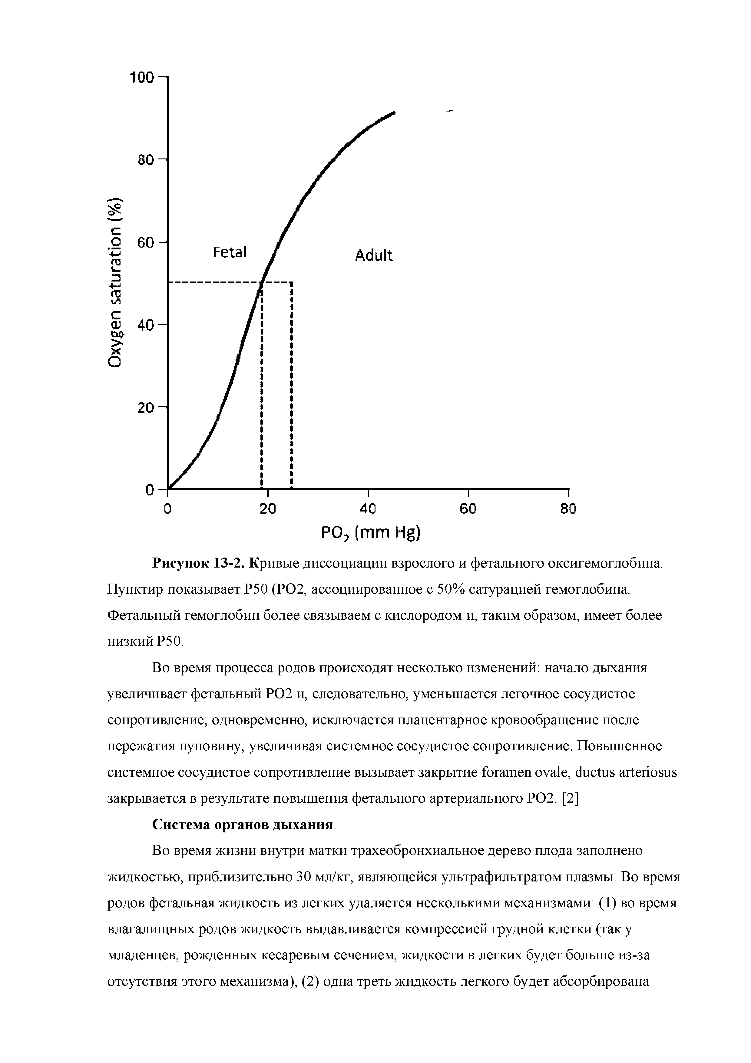 Рисунок 13-2. Кривые диссоциации взрослого и фетального оксигемоглобина. Пунктир показывает Р50 (РО2, ассоциированное с 50% сатурацией гемоглобина. Фетальный гемоглобин более связываем с кислородом и, таким образом, имеет более низкий Р50.