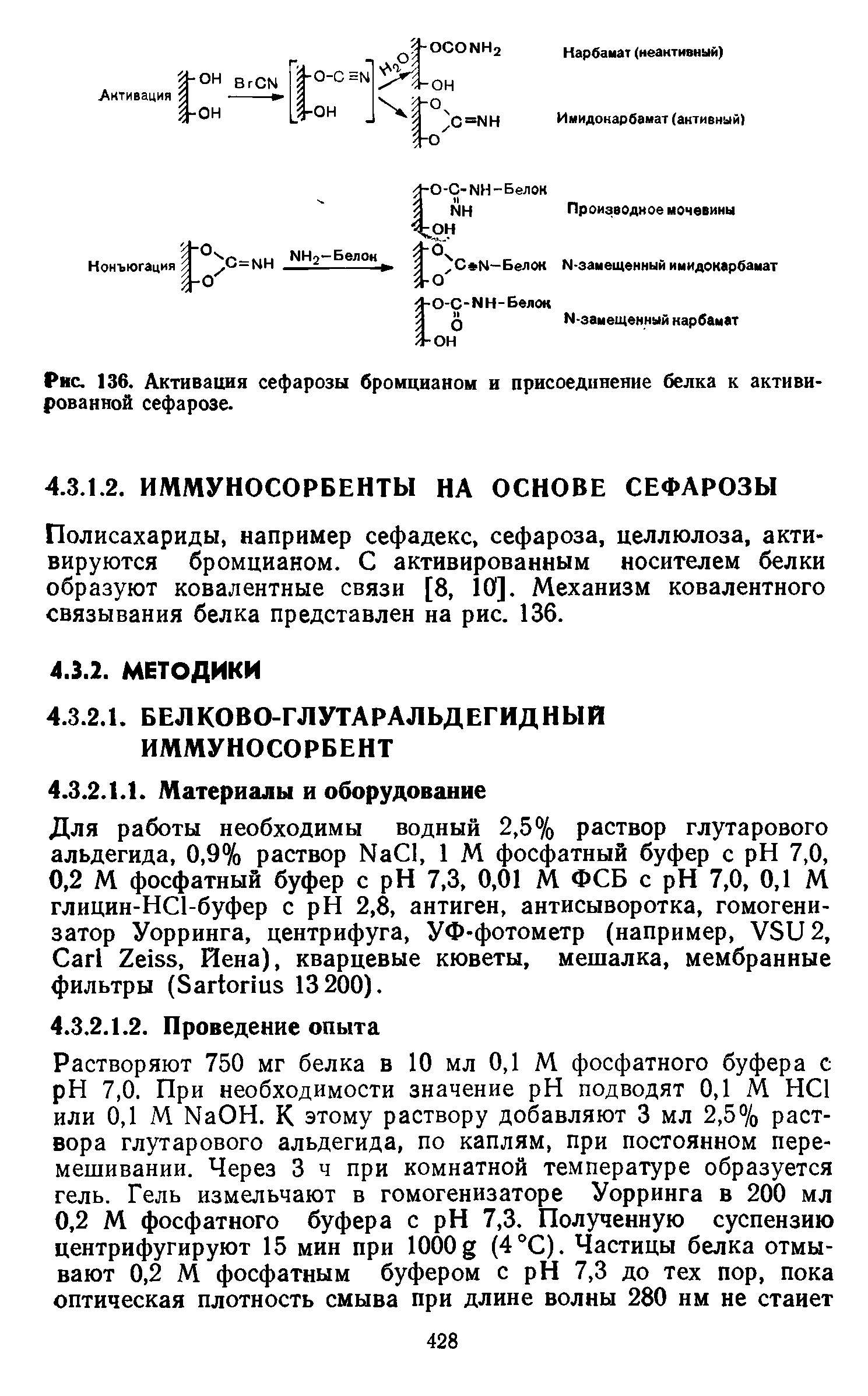 Рис. 136. Активация сефарозы бромцианом и присоединение белка к активированной сефарозе.