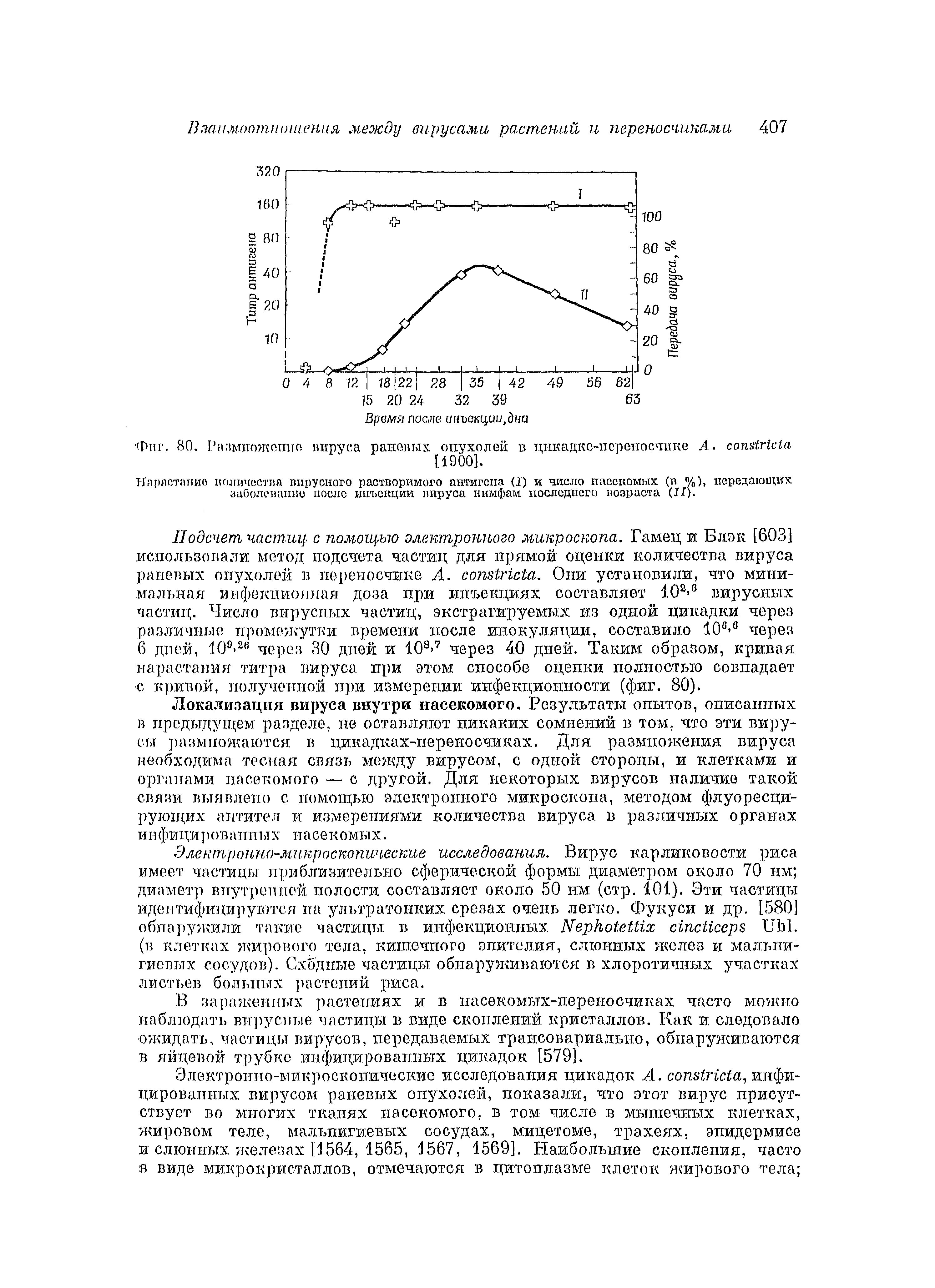 Фиг. 80. Размножение вируса раневых опухолей в цпкадке-псреносчике А. сопз(г1с(а [1900].