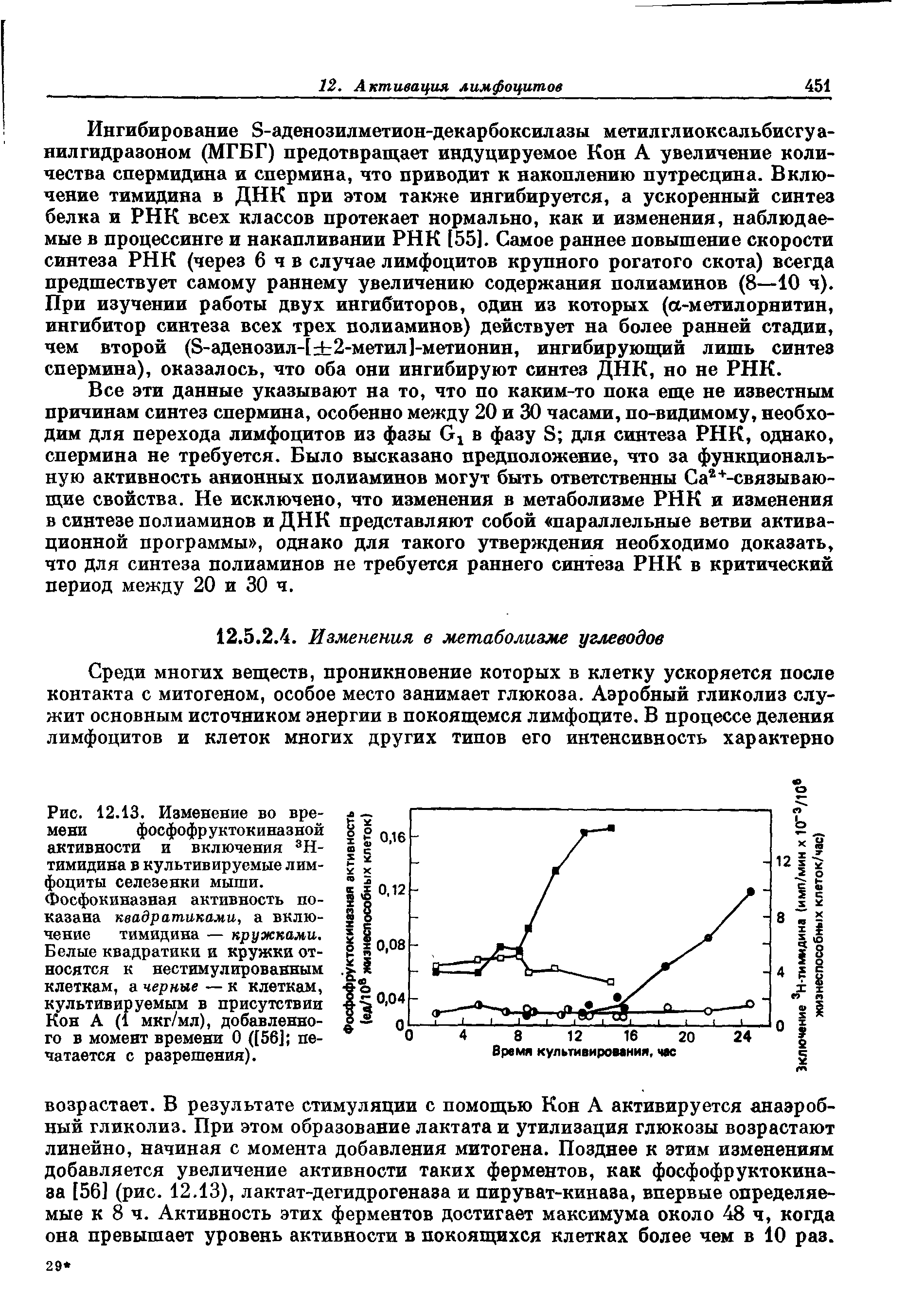 Рис. 12.13. Изменение во времени фосфофруктокиназной активности и включения 3Н-тимидина в культивируемые лимфоциты селезенки мыши.