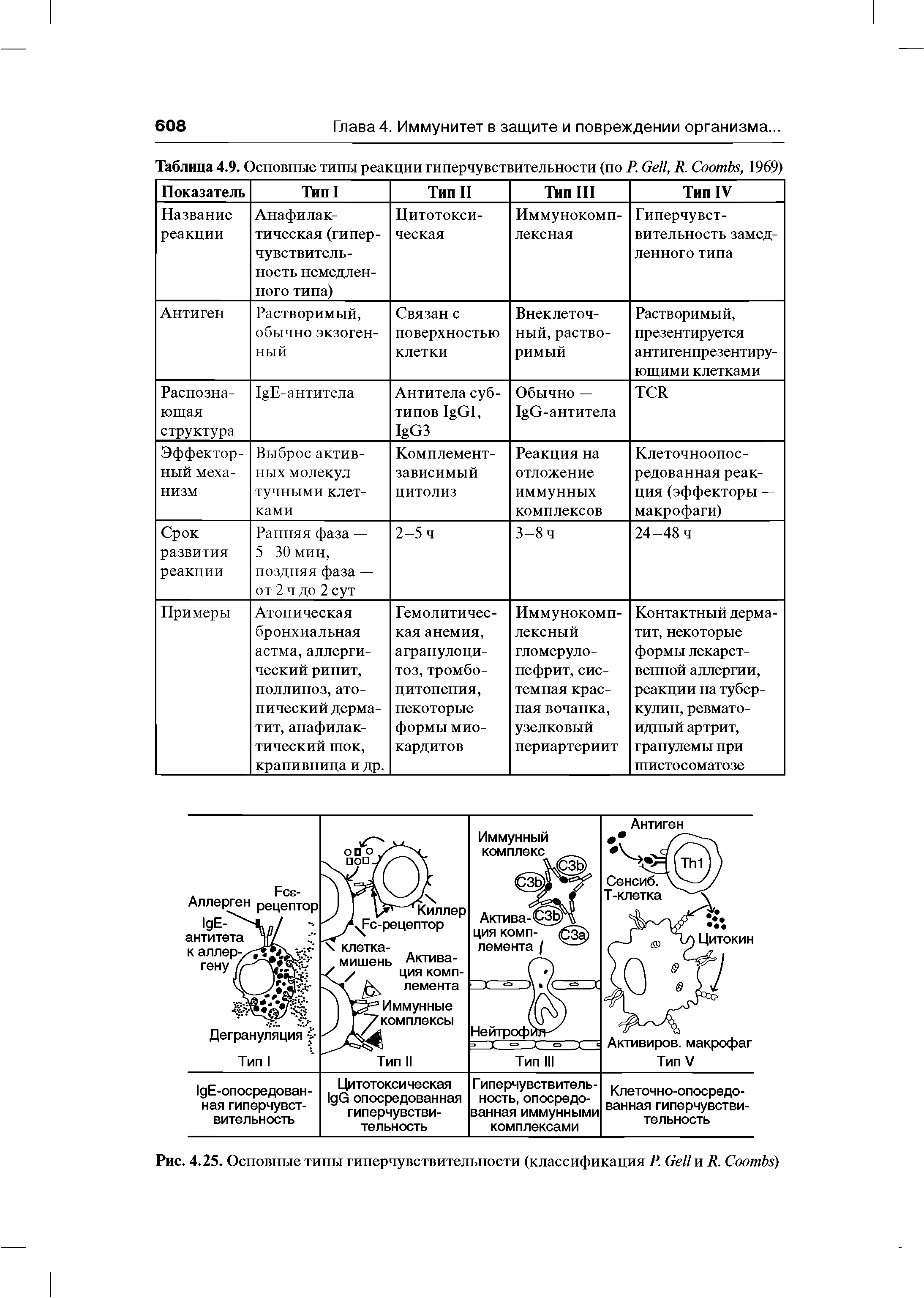 Рис. 4.25. Основные типы гиперчувствительности (классификация Р. G и R. C )...