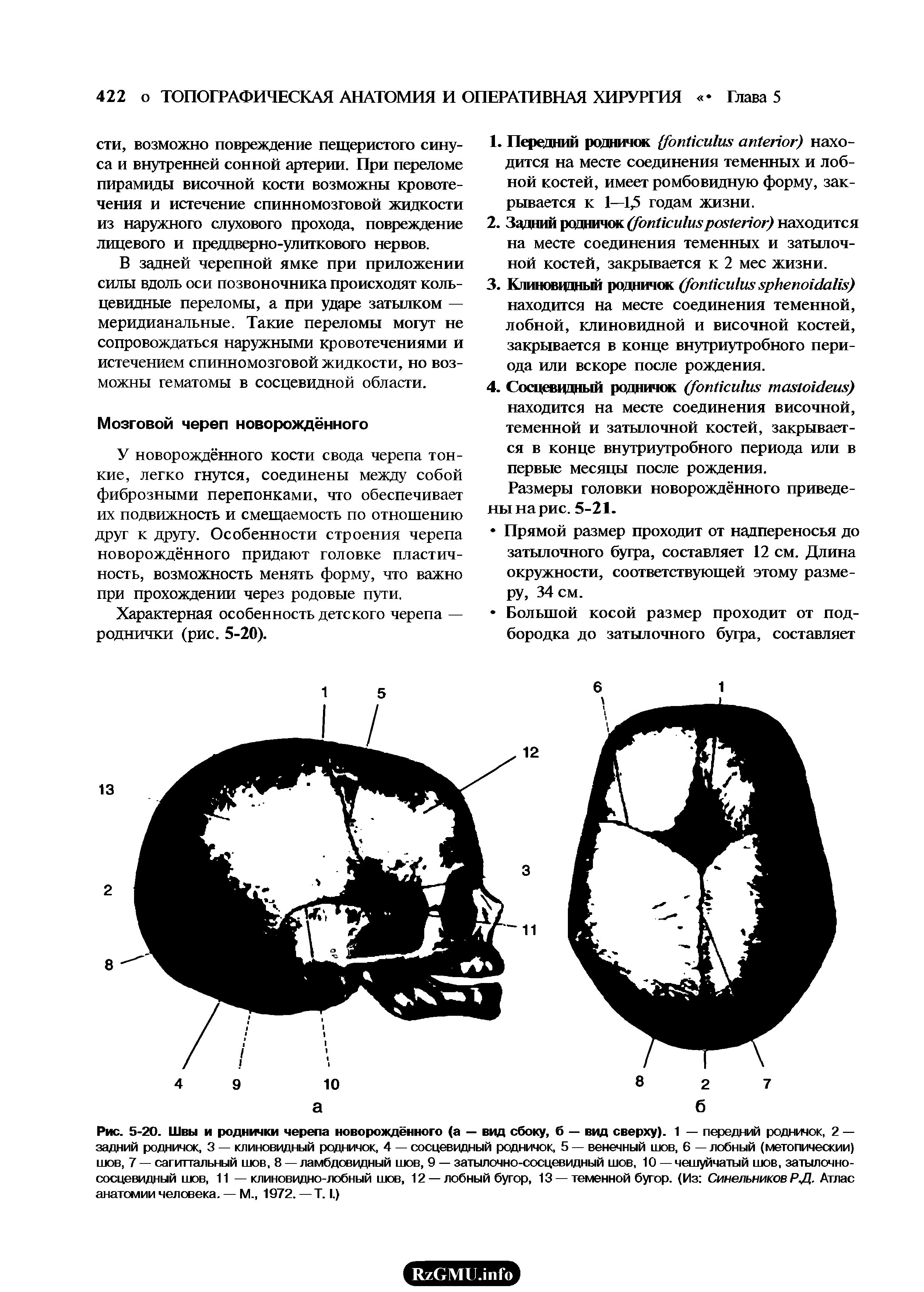 Рис. 5-20. Швы и роднички черепа новорождённого (а — вид сбоку, б — вид сверху). 1 — передний родничок, 2 — задний родничок, 3 — клиновидный родничок, 4 — сосцевидный родничок, 5 — венечный шов, 6 — лобный (метопическии) шов, 7 — сагиттальный шов, 8 — ламбдовидный шов, 9 — затылочно-сосцевидный шов, 10 — чешуйчатый шов, затылочно-сосцевидный шов, 11 — клиновидно-лобный шов, 12 —лобный бугор, 13 —теменной бугор. (Из Синельников PJJ. Атлас анатомии человека. — М., 1972. —T. I.)...