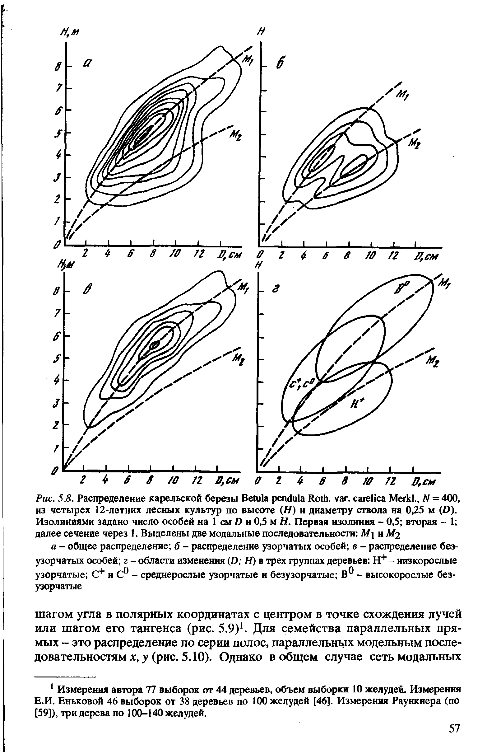 Рис. 5.8. Распределение карельской березы B R . . M ., N = 400, из четырех 12-летних лесных культур по высоте (W) и диаметру ствола на 0,25 м (D). Изолиниями задано число особей на 1 см D и 0,5 м Н. Первая изолиния - 0,5 вторая - 1 далее сечение через 1. Выделены две модальные последовательности М и М2...