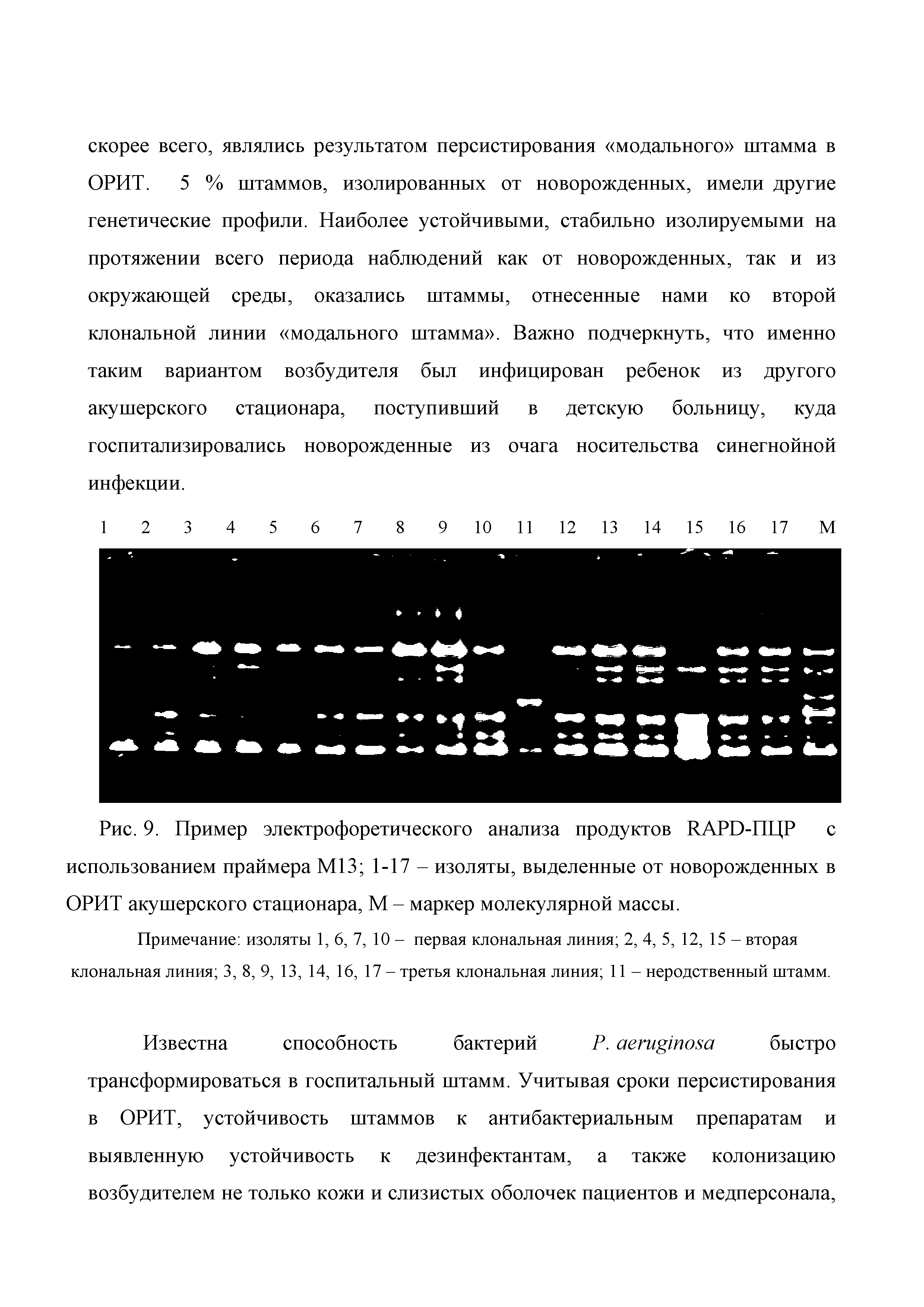 Рис. 9. Пример электрофоретического анализа продуктов RAPD-ПЦР с использованием праймера М13 1-17 - изоляты, выделенные от новорожденных в ОРИТ акушерского стационара, М - маркер молекулярной массы.