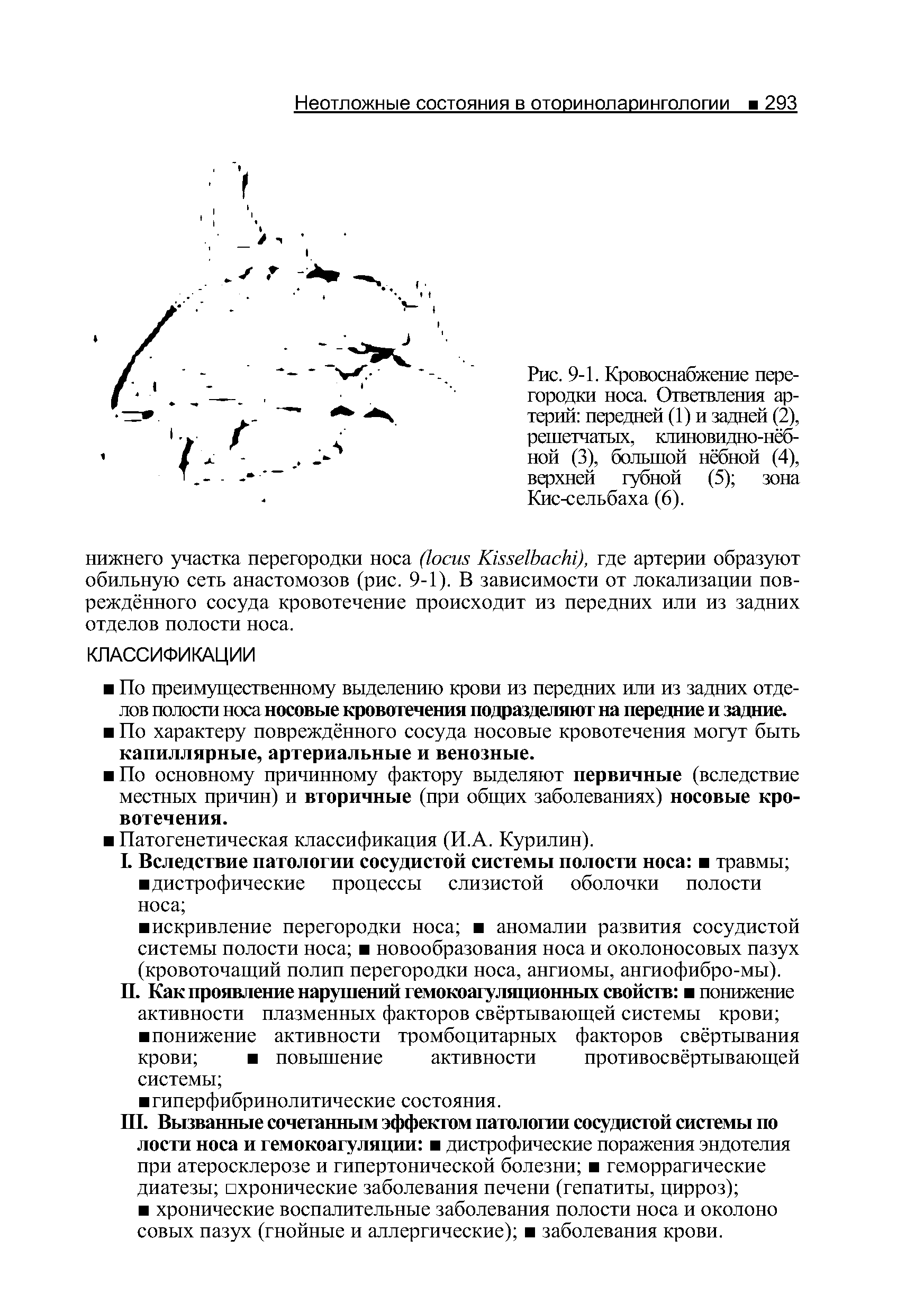 Рис. 9-1. Кровоснабжение перегородки носа. Ответвления артерий передней (1) и задней (2), решетчатых, клиновидно-нёбной (3), большой нёбной (4), верхней губной (5) зона Кис-сельбаха (6).