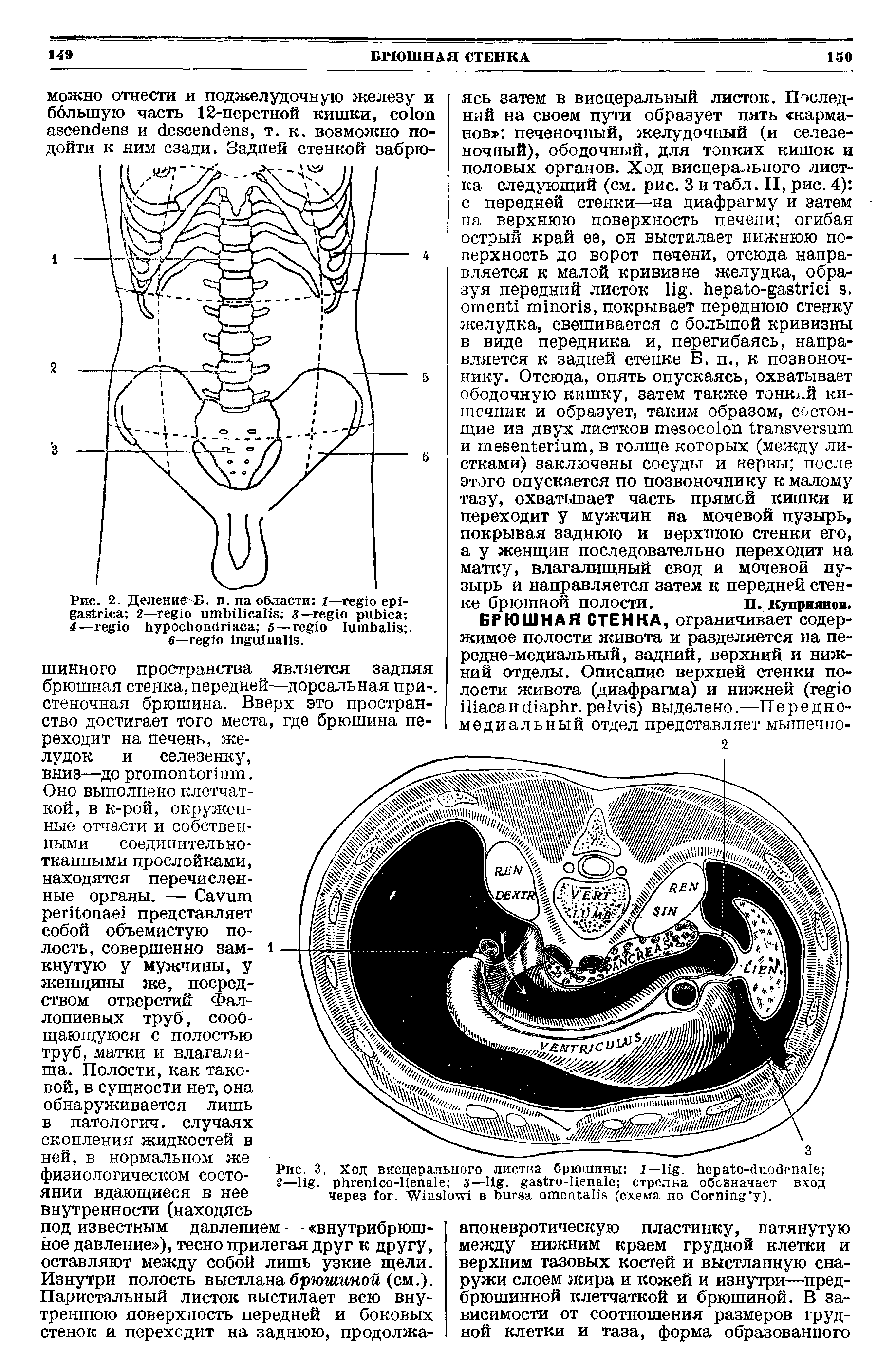 Рис. 2. Деление Б. п. на области 1— 2— з— 4— 5— .