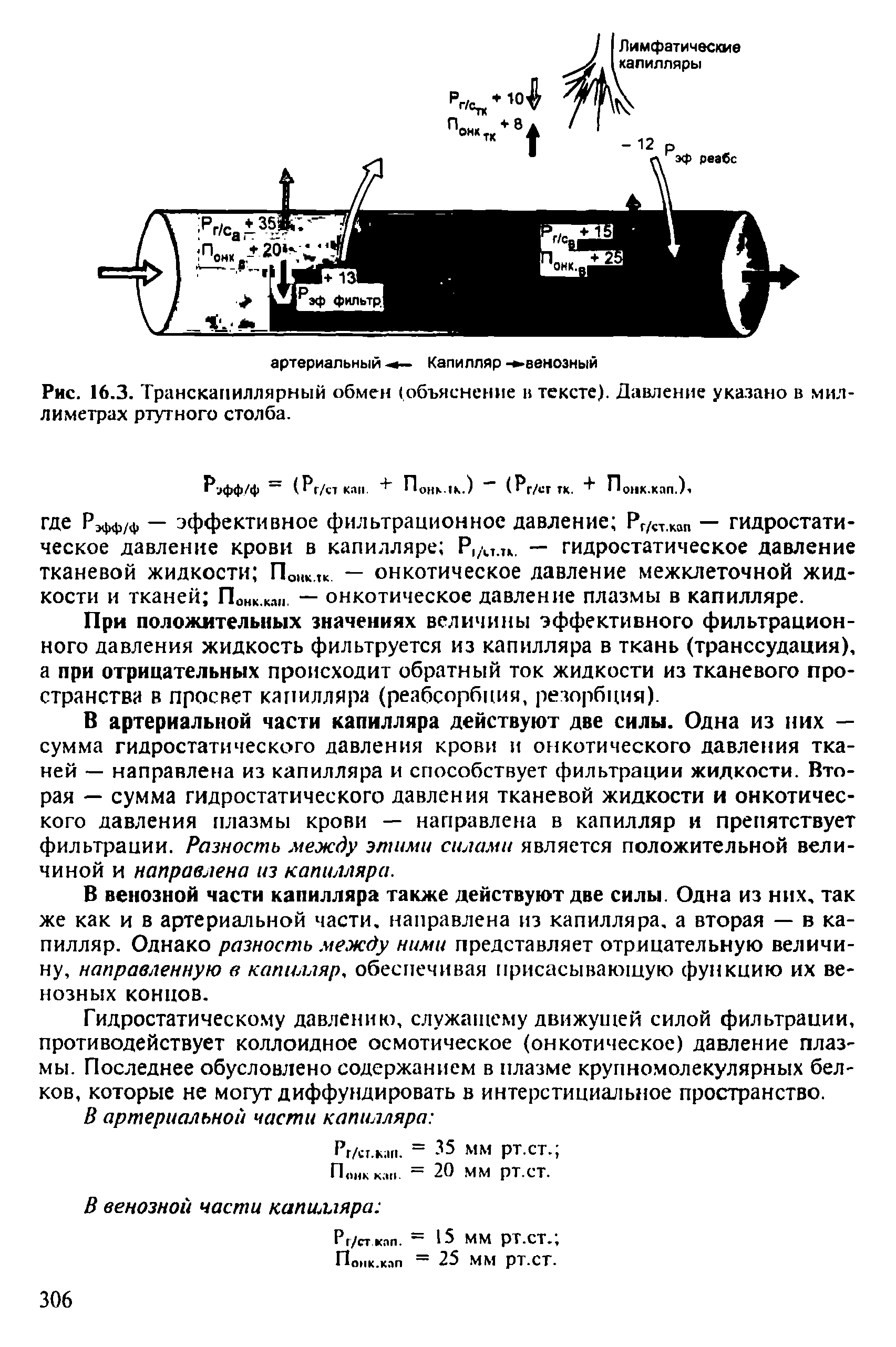 Рис. 16.3. Транскапиллярный обмен (объяснение в тексте). Давление указано в миллиметрах ртутного столба.