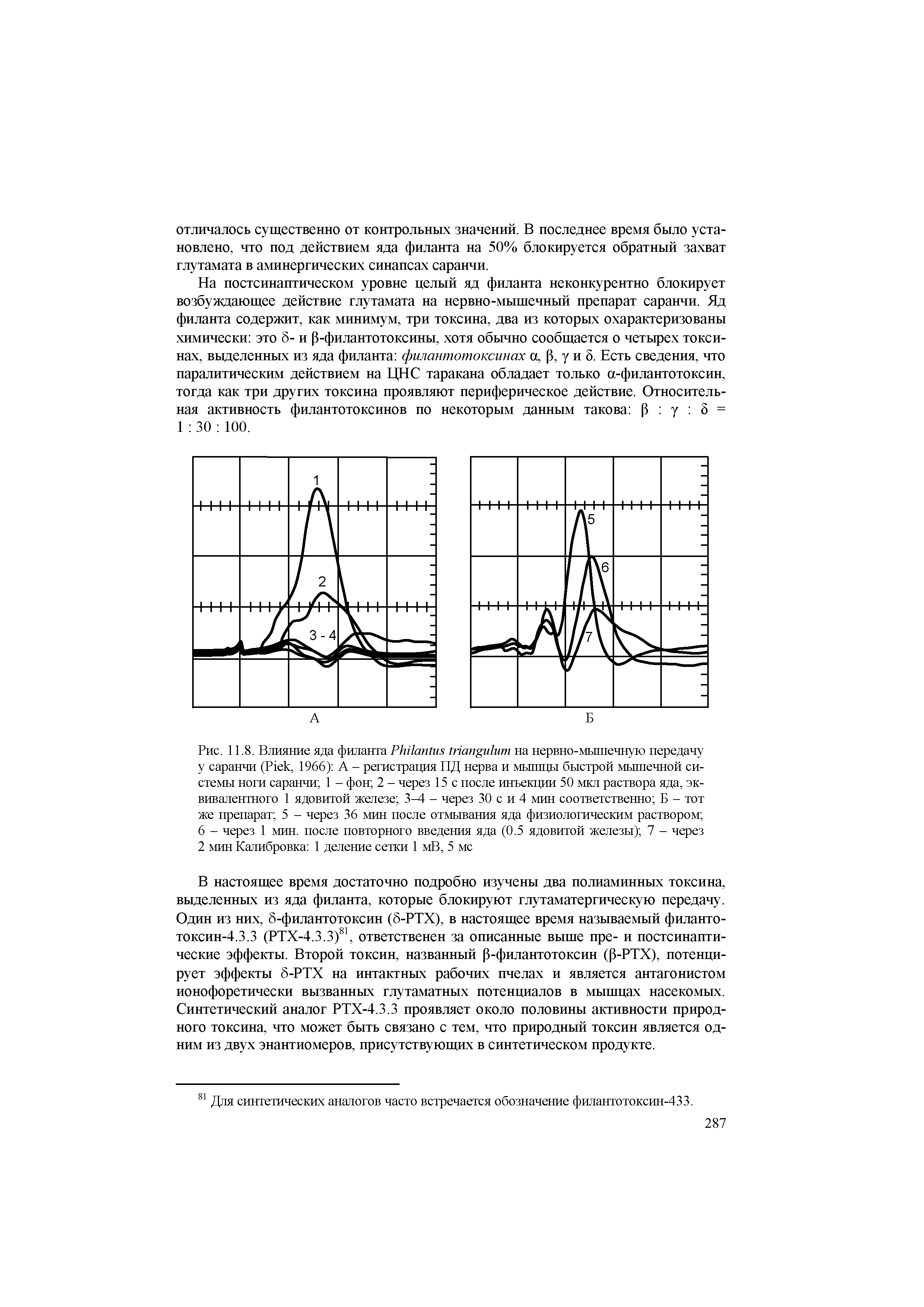 Рис. 11.8. Влияние яда филанта P на нервно-мышечную передачу у саранчи (P , 1966) А - регистрация ПД нерва и мышцы быстрой мышечной системы ноги саранчи 1 - фон 2 - через 15 с после инъекции 50 мкл раствора яда, эквивалентного 1 ядовитой железе 3 1 - через 30 с и 4 мин соответственно Б - тот же препарат 5 - через 36 мин после отмывания яда физиологическим раствором ...