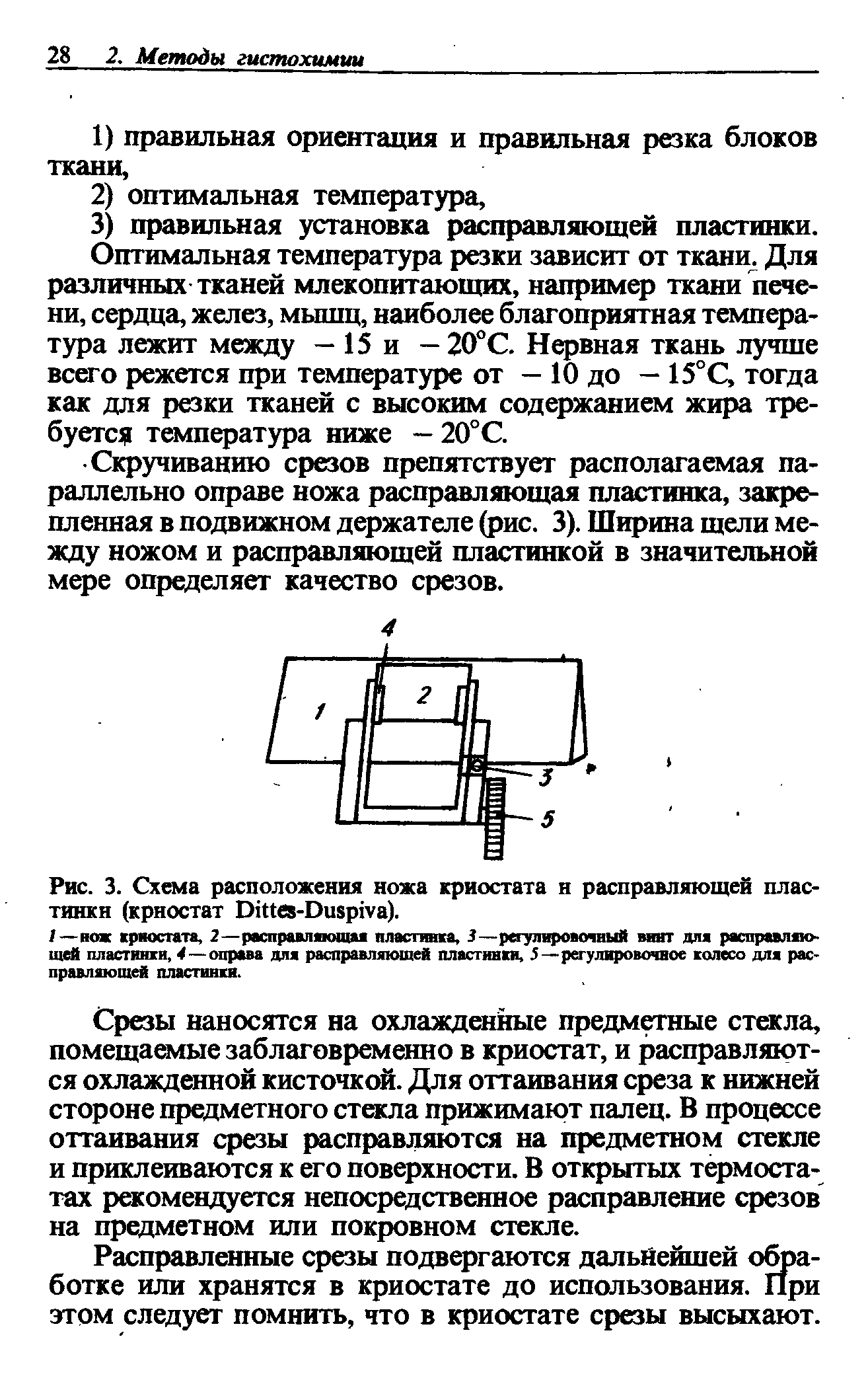 Рис. 3. Схема расположения ножа криостата н расправляющей пластинки (криостат В еа-Оивргёа).