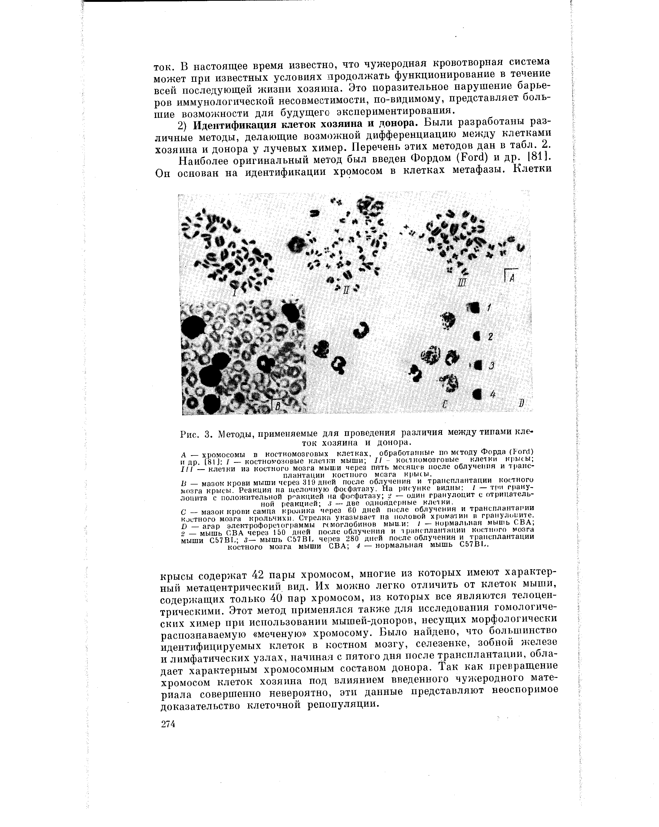 Рис. 3. Методы, применяемые для проведения различия между типами клеток хозяина и донора.